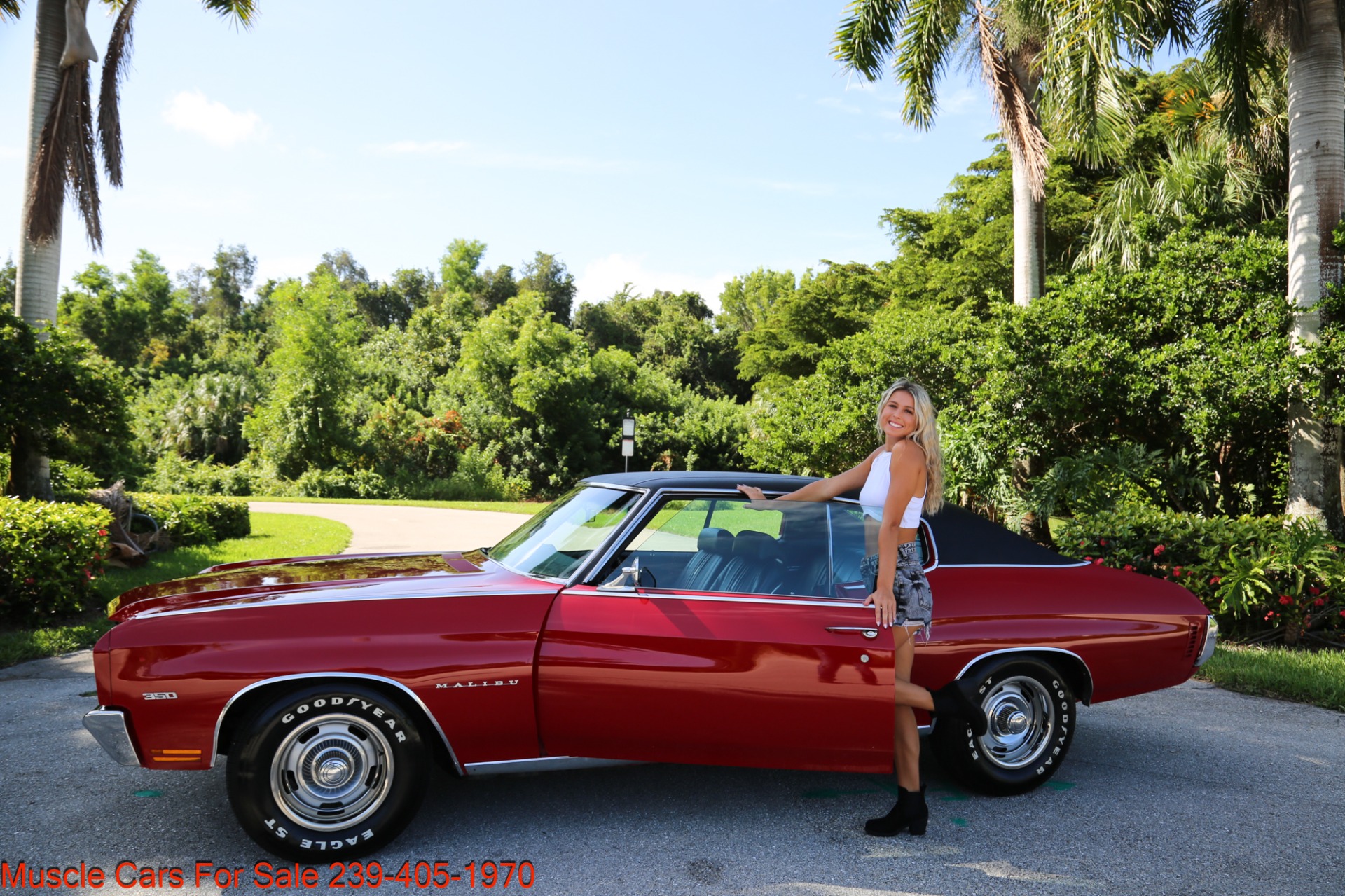 Used 1970 Chevrolet Chevelle Malibu for sale Sold at Muscle Cars for Sale Inc. in Fort Myers FL 33912 2