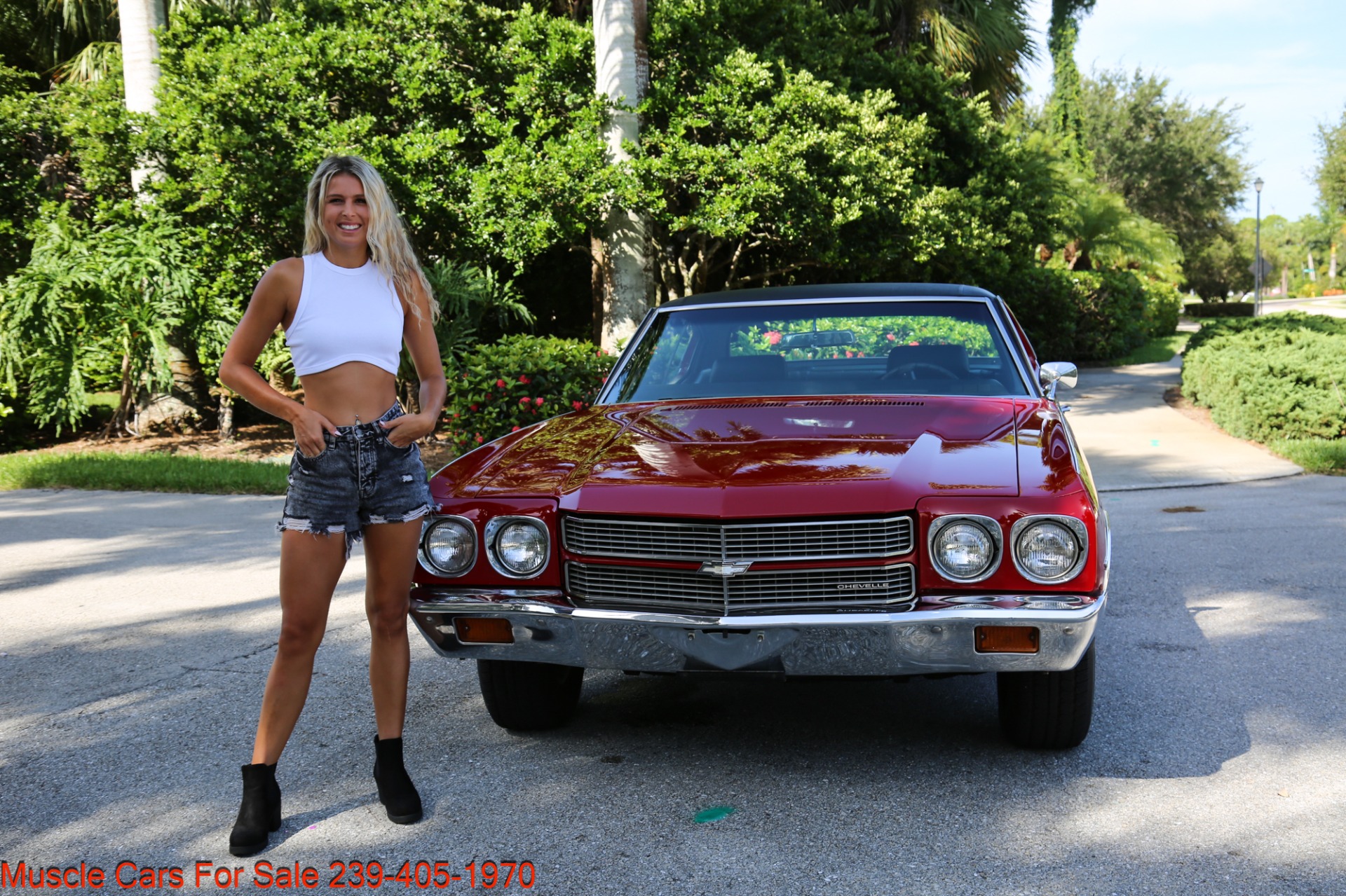 Used 1970 Chevrolet Chevelle Malibu for sale Sold at Muscle Cars for Sale Inc. in Fort Myers FL 33912 3