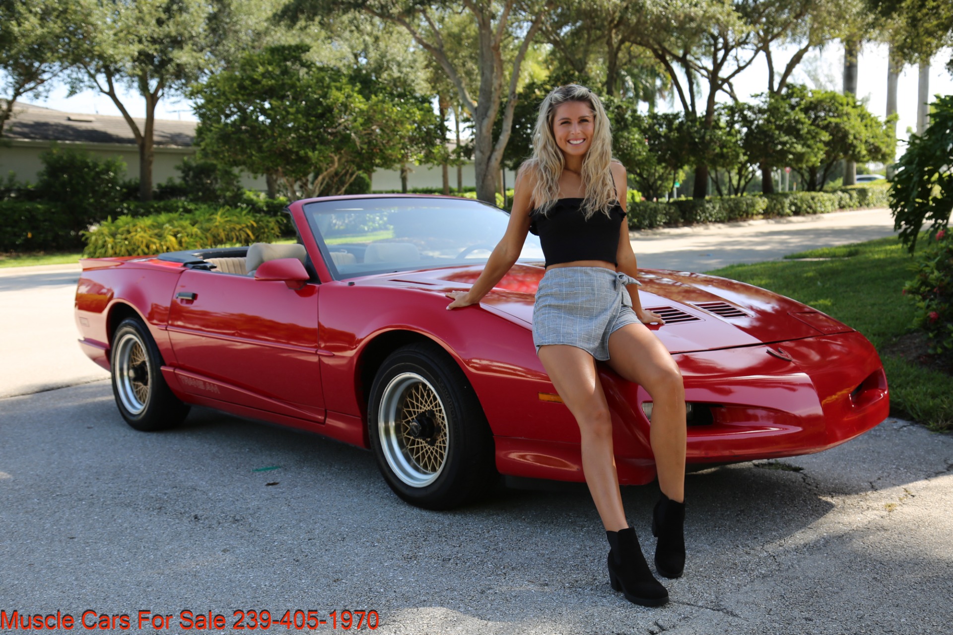 Used 1991 Pontiac Firebird Trans Am for sale $9,900 at Muscle Cars for Sale Inc. in Fort Myers FL 33912 2