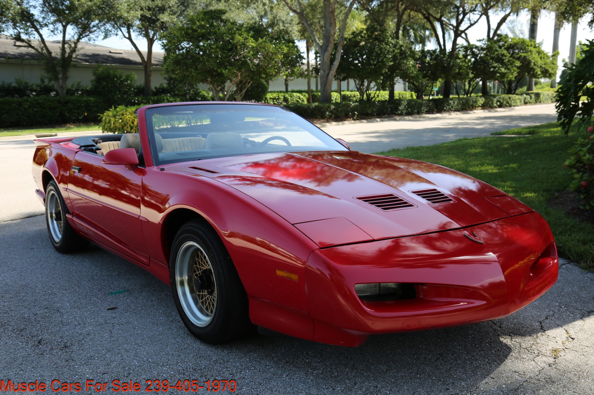 Used 1991 Pontiac Firebird Trans Am for sale $9,900 at Muscle Cars for Sale Inc. in Fort Myers FL 33912 6