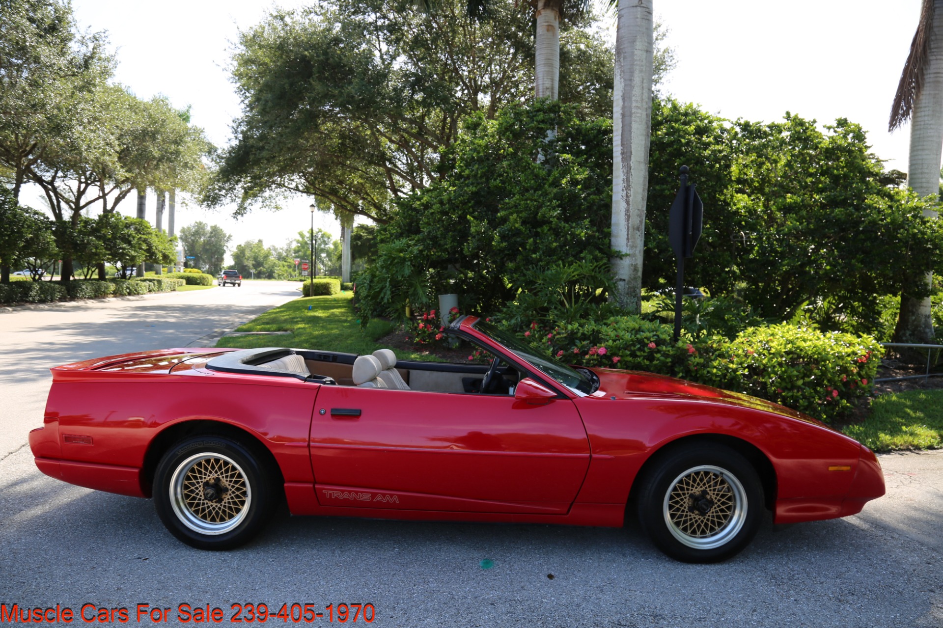 Used 1991 Pontiac Firebird Trans Am for sale Sold at Muscle Cars for Sale Inc. in Fort Myers FL 33912 7