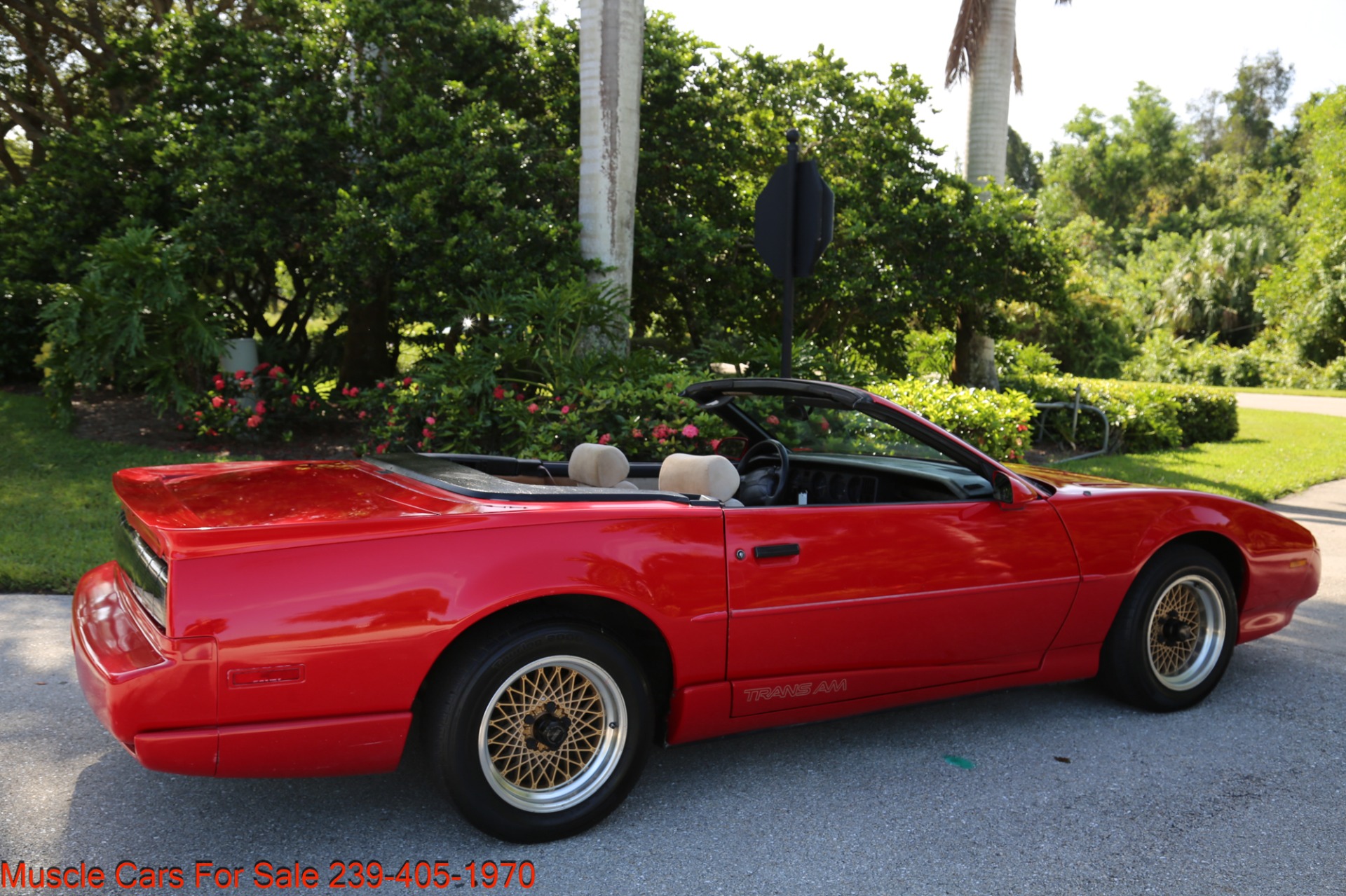 Used 1991 Pontiac Firebird Trans Am for sale Sold at Muscle Cars for Sale Inc. in Fort Myers FL 33912 8