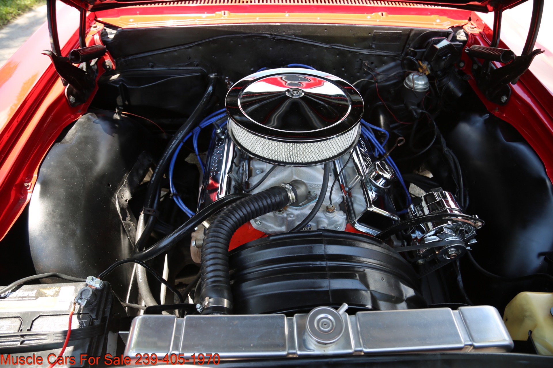 Used 1965 Chevrolet Malibu SS Super Sport SS for sale Sold at Muscle Cars for Sale Inc. in Fort Myers FL 33912 6
