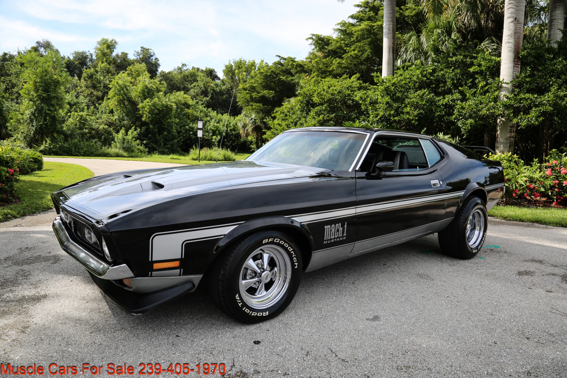 Used 1971 Ford Mustang MACH ! for sale Sold at Muscle Cars for Sale Inc. in Fort Myers FL 33912 2