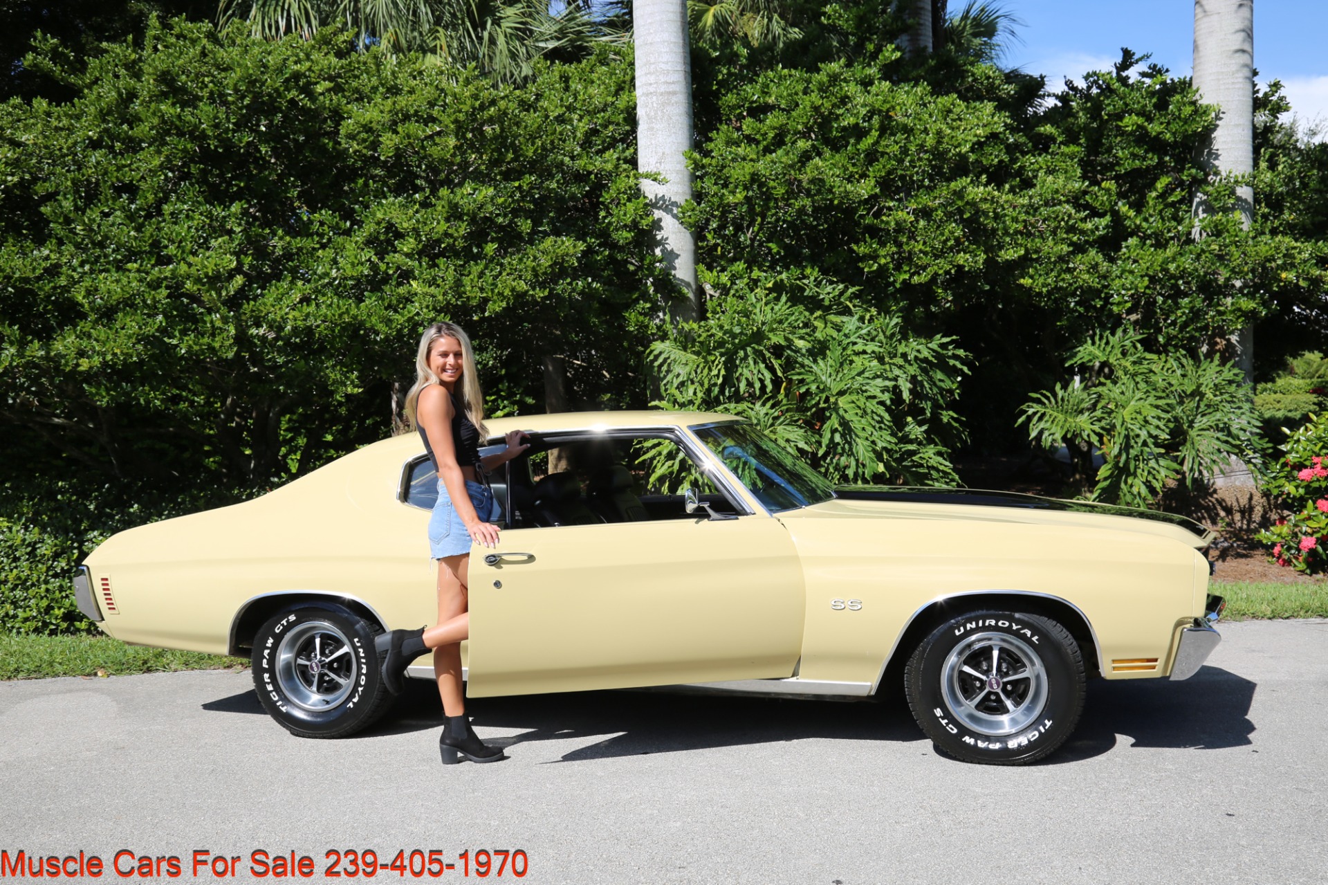 Used 1970 Chevrolet Chevelle SS for sale Sold at Muscle Cars for Sale Inc. in Fort Myers FL 33912 3