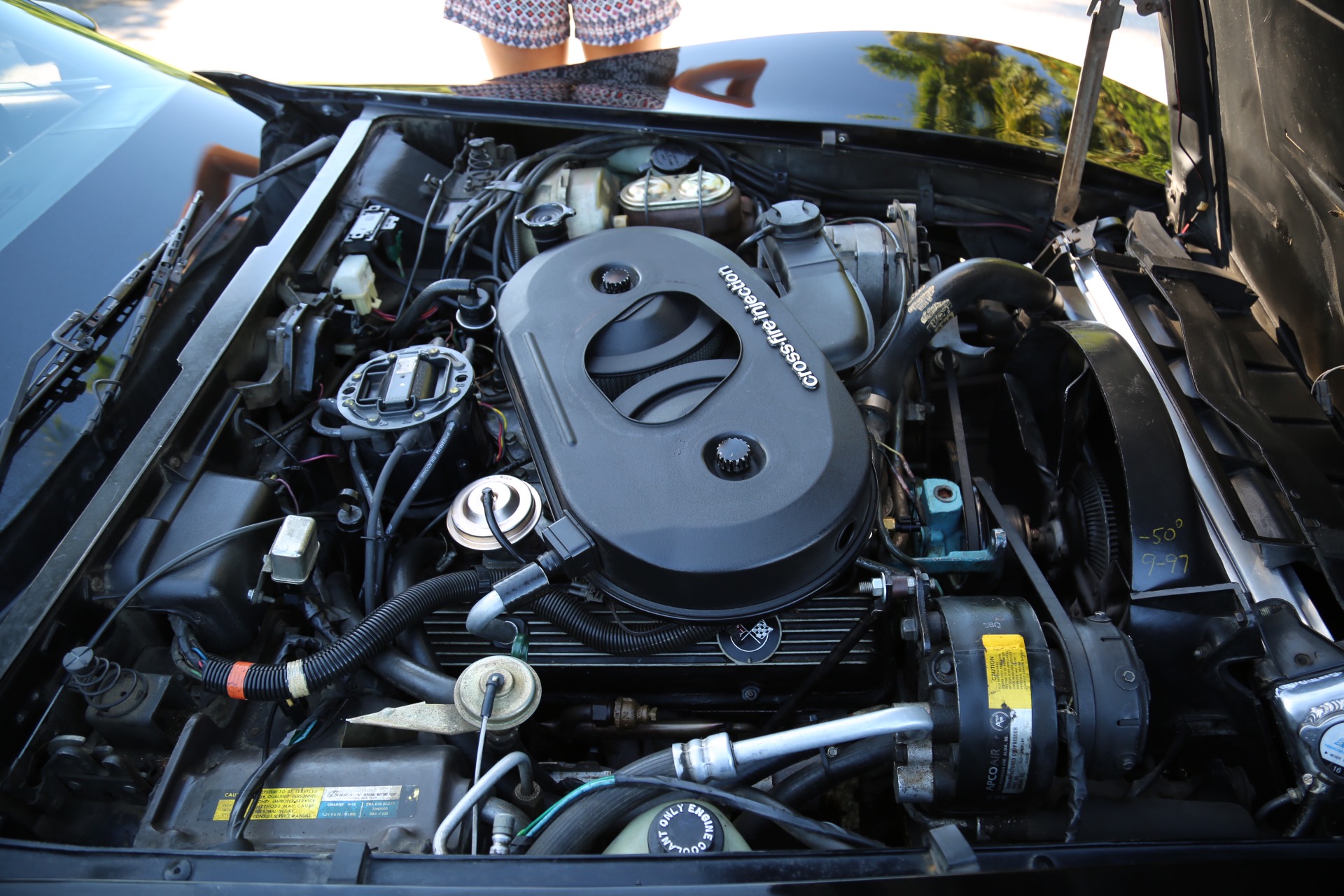 Used 1982 Chevrolet Corvette for sale Sold at Muscle Cars for Sale Inc. in Fort Myers FL 33912 7