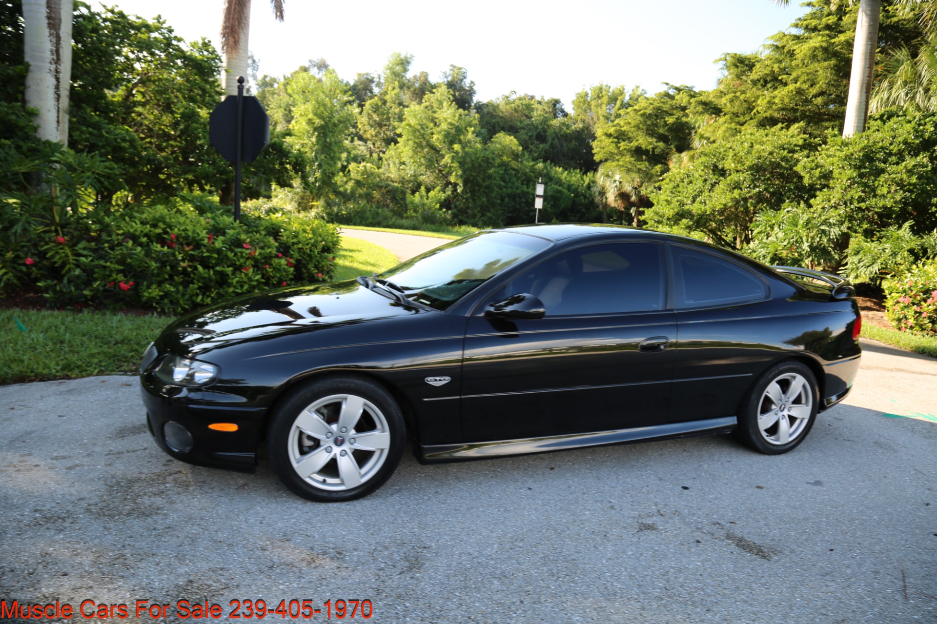 Used 2004 Pontiac GTO GTO for sale $19,500 at Muscle Cars for Sale Inc. in Fort Myers FL 33912 5
