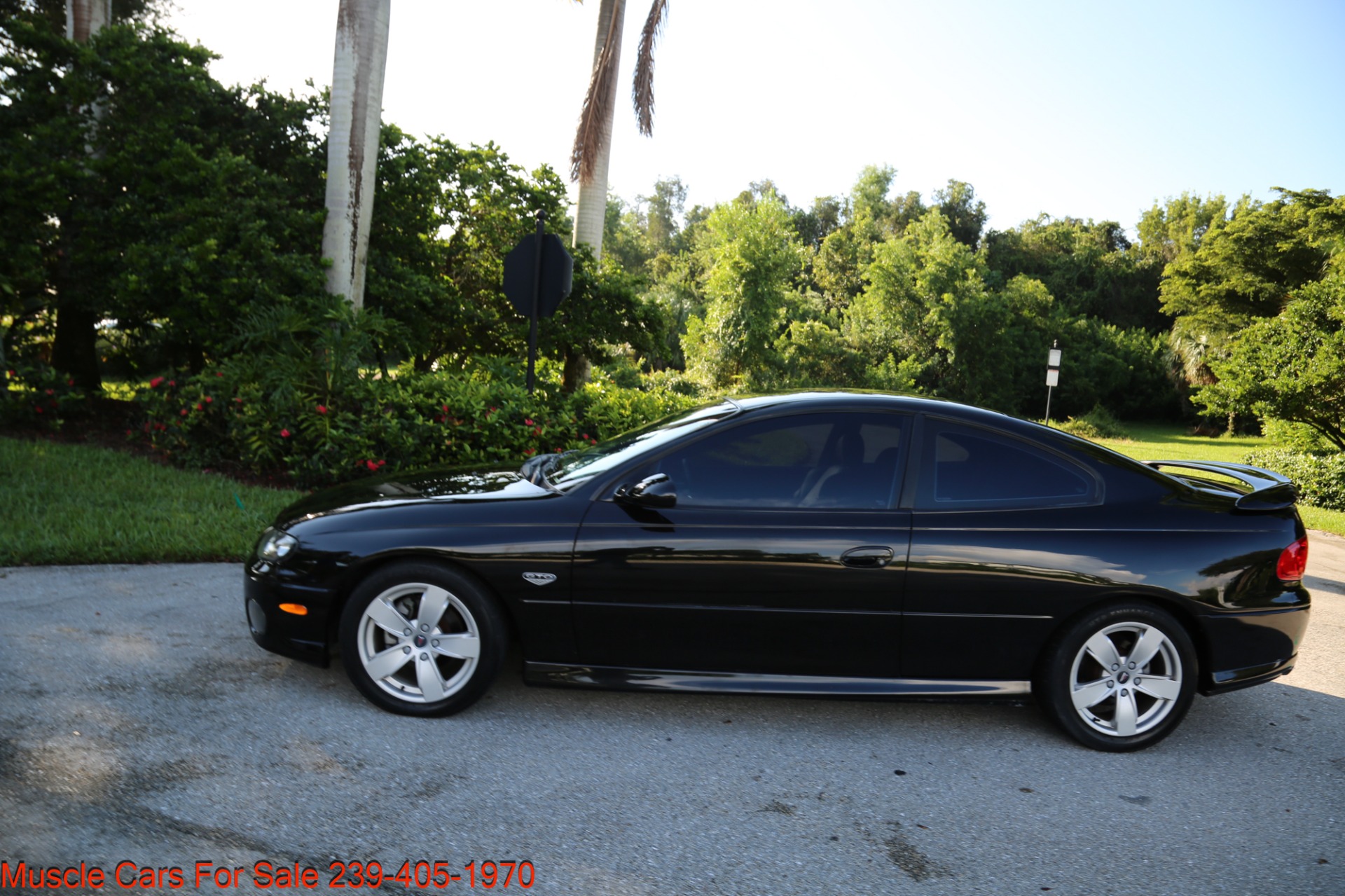 New 2004 Pontiac GTO GTO for sale Sold at Muscle Cars for Sale Inc. in Fort Myers FL 33912 6