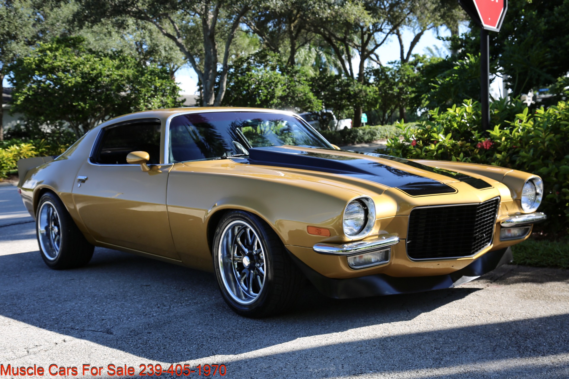 Used 1973 Chevrolet Camaro for sale Sold at Muscle Cars for Sale Inc. in Fort Myers FL 33912 5