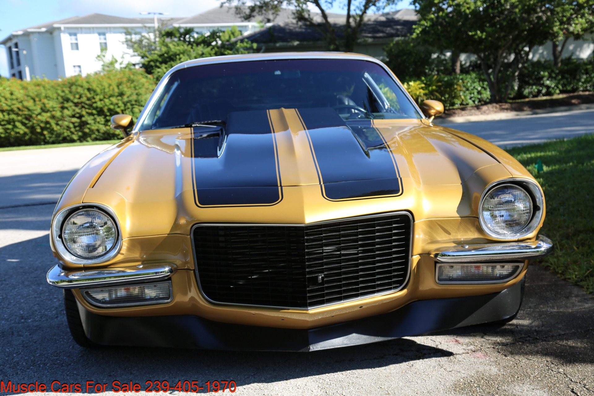 Used 1973 Chevrolet Camaro for sale Sold at Muscle Cars for Sale Inc. in Fort Myers FL 33912 6