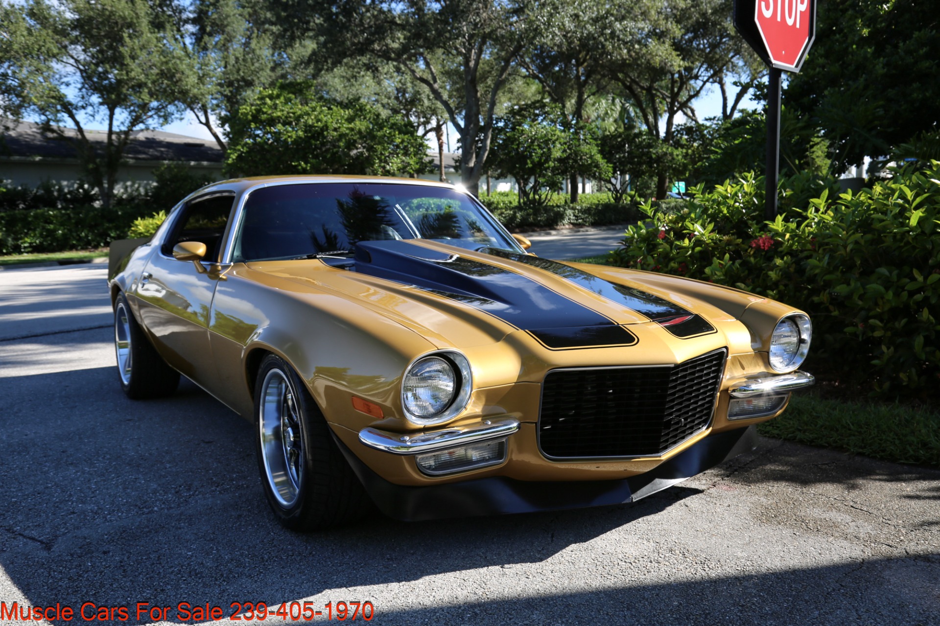Used 1973 Chevrolet Camaro for sale Sold at Muscle Cars for Sale Inc. in Fort Myers FL 33912 7