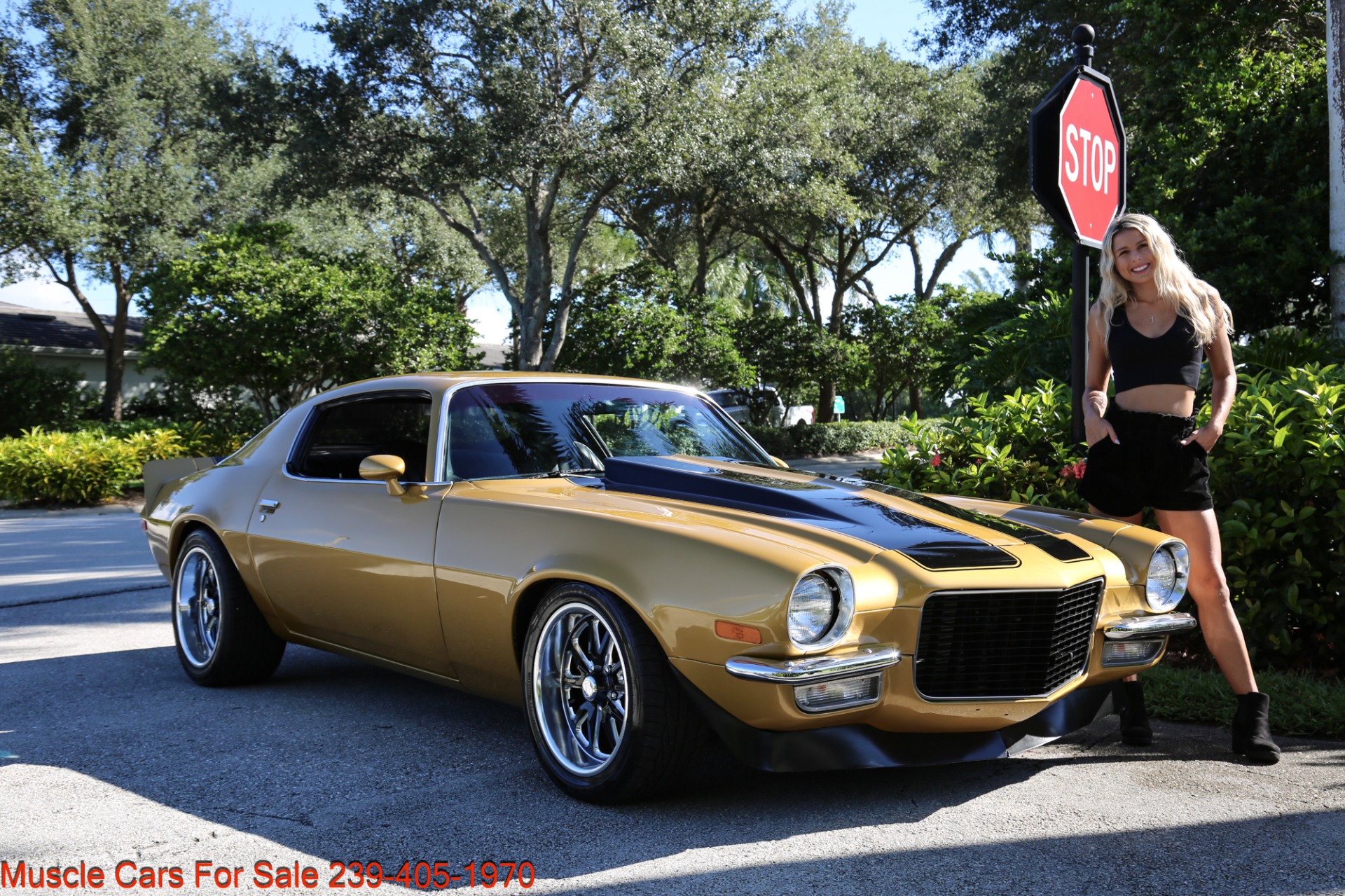 Used 1973 Chevrolet Camaro for sale Sold at Muscle Cars for Sale Inc. in Fort Myers FL 33912 1