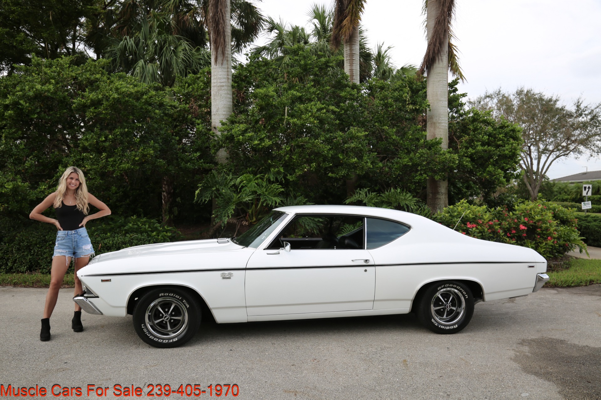 Used 1969 Chevrolet Chevelle SS 396 for sale $49,500 at Muscle Cars for Sale Inc. in Fort Myers FL 33912 5