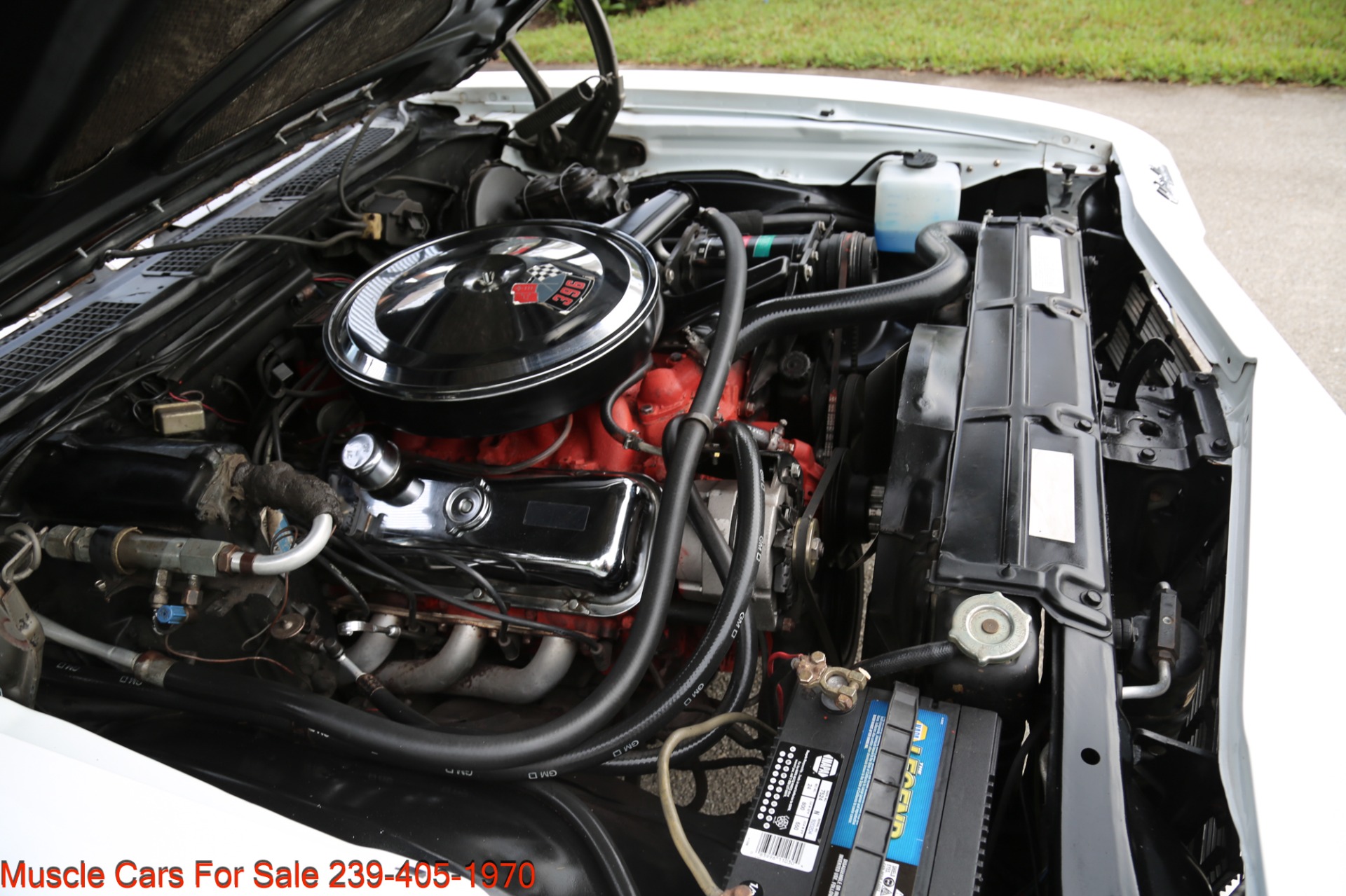 Used 1969 Chevrolet Chevelle SS 396 for sale Sold at Muscle Cars for Sale Inc. in Fort Myers FL 33912 6