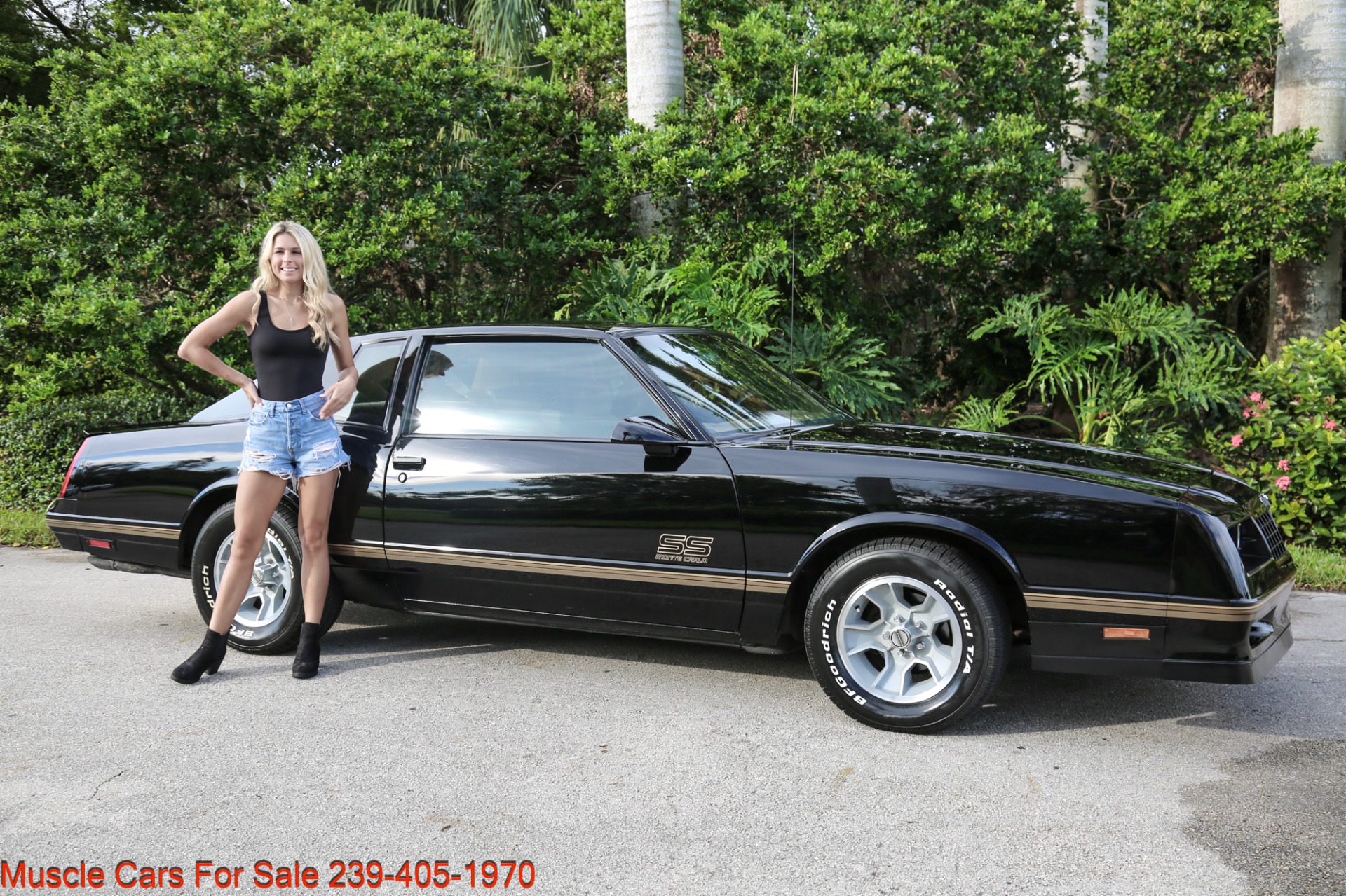 Used 1987 Chevrolet Monte Carlo SS Aero for sale Sold at Muscle Cars for Sale Inc. in Fort Myers FL 33912 2