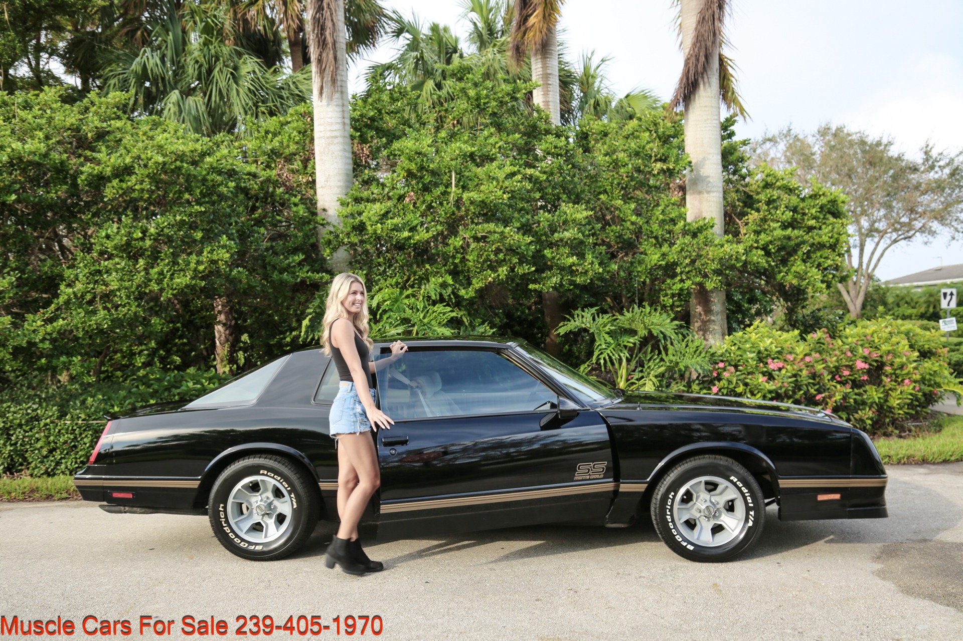Used 1987 Chevrolet Monte Carlo SS Aero for sale Sold at Muscle Cars for Sale Inc. in Fort Myers FL 33912 4