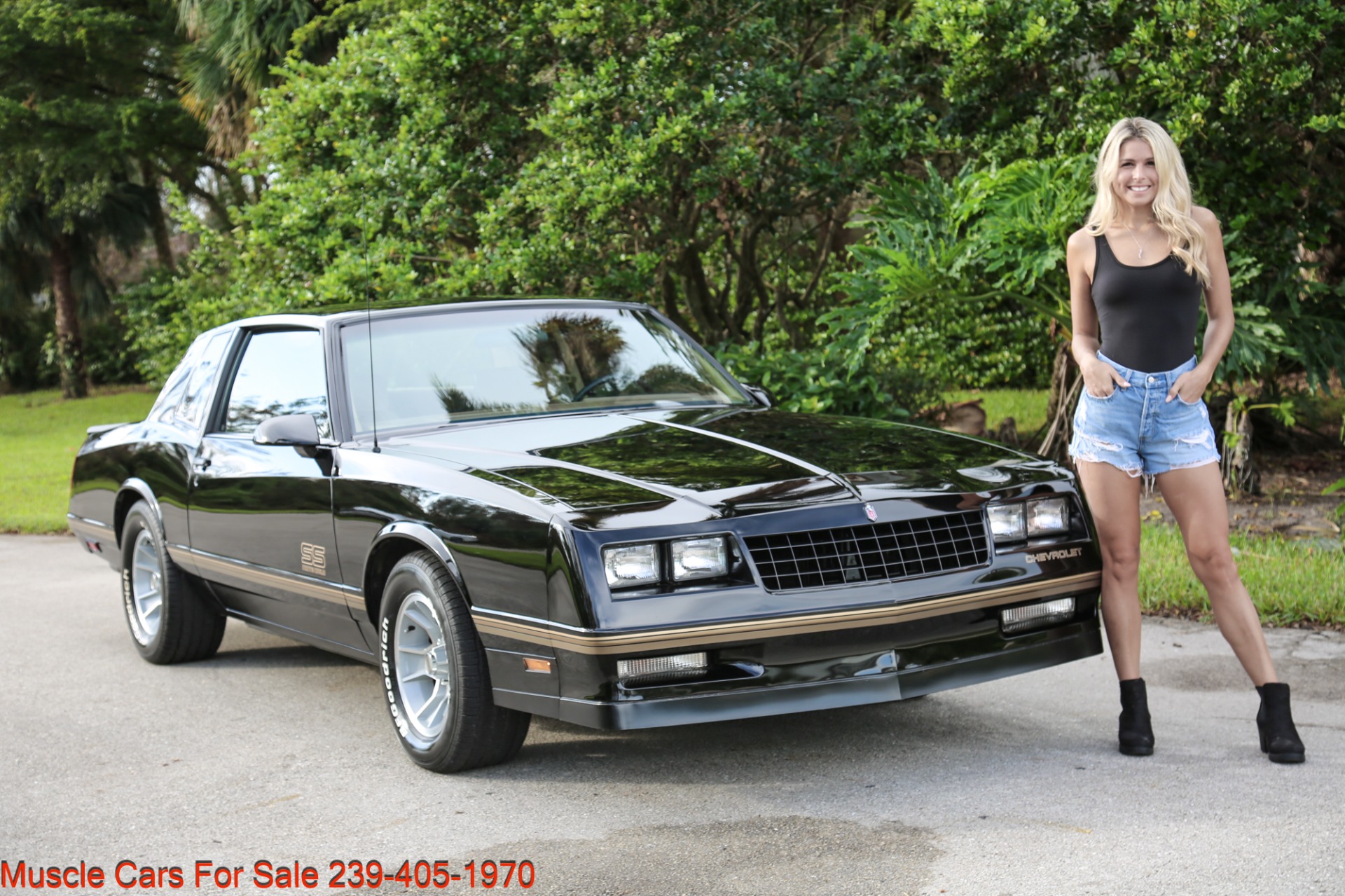 Used 1987 Chevrolet Monte Carlo SS Aero for sale Sold at Muscle Cars for Sale Inc. in Fort Myers FL 33912 5