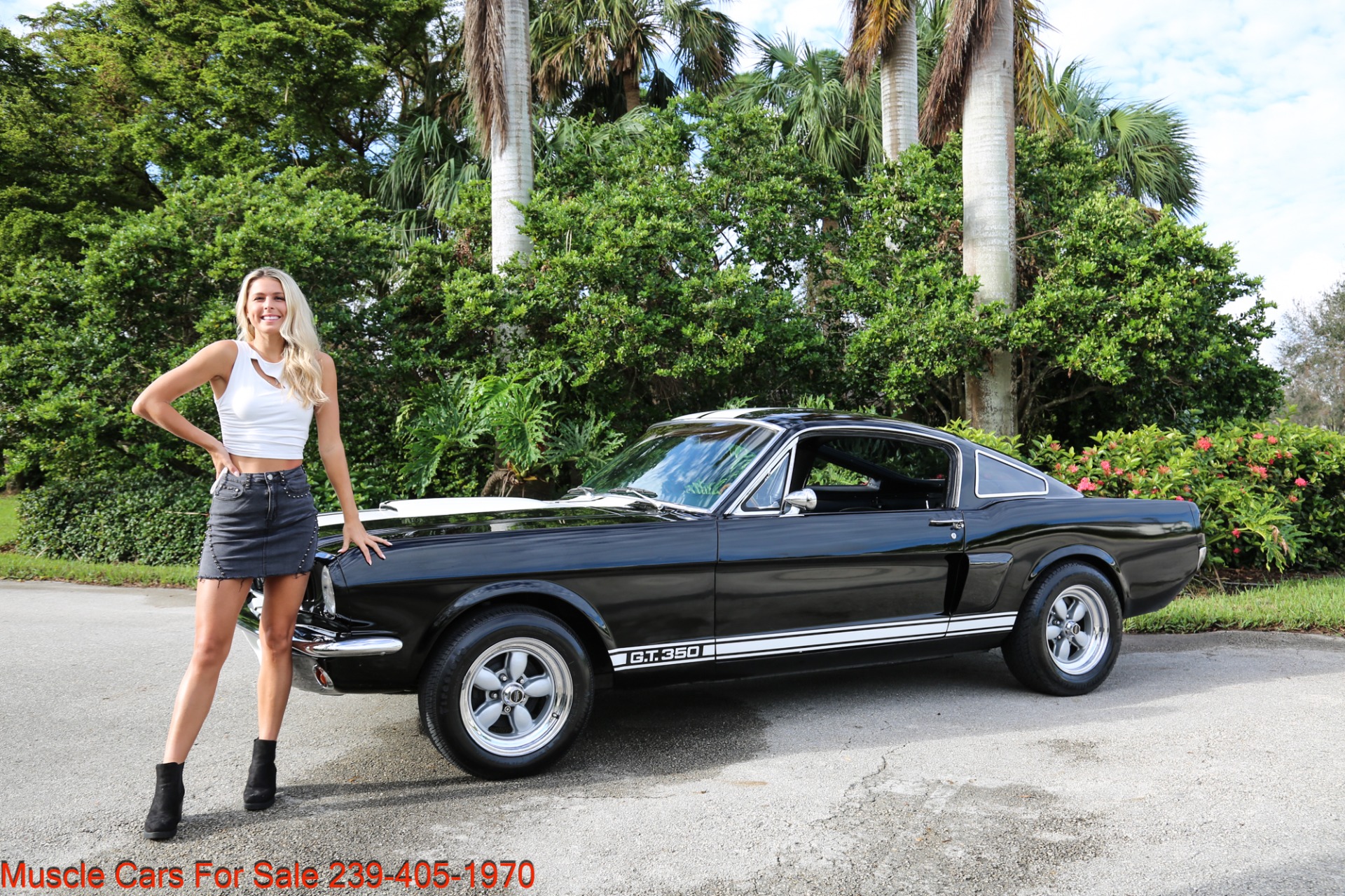 Used 1966 Ford Mustang Shelby 350 GT trimed for sale Sold at Muscle Cars for Sale Inc. in Fort Myers FL 33912 2