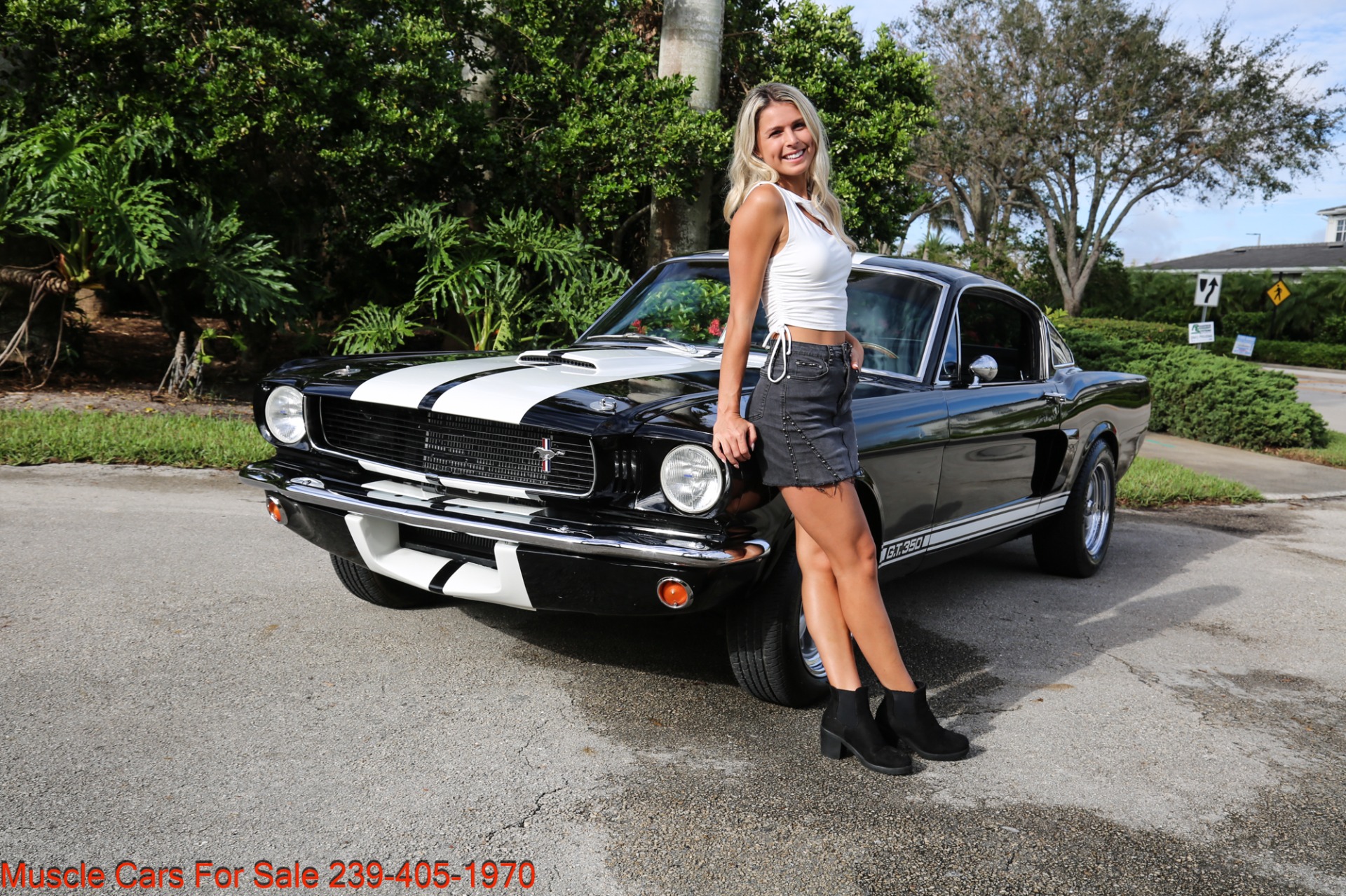 Used 1966 Ford Mustang Shelby 350 GT trimed for sale Sold at Muscle Cars for Sale Inc. in Fort Myers FL 33912 3