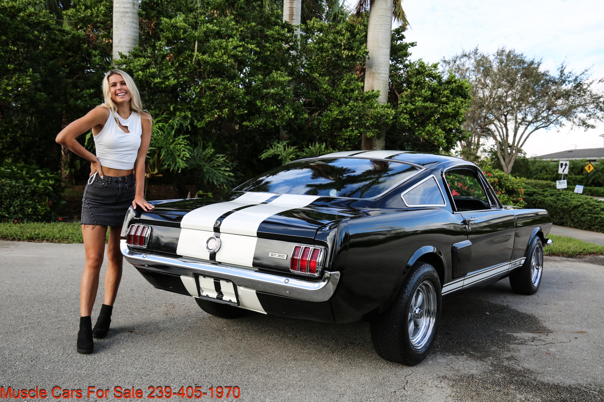 Used 1966 Ford Mustang Shelby 350 GT trimed for sale Sold at Muscle Cars for Sale Inc. in Fort Myers FL 33912 4