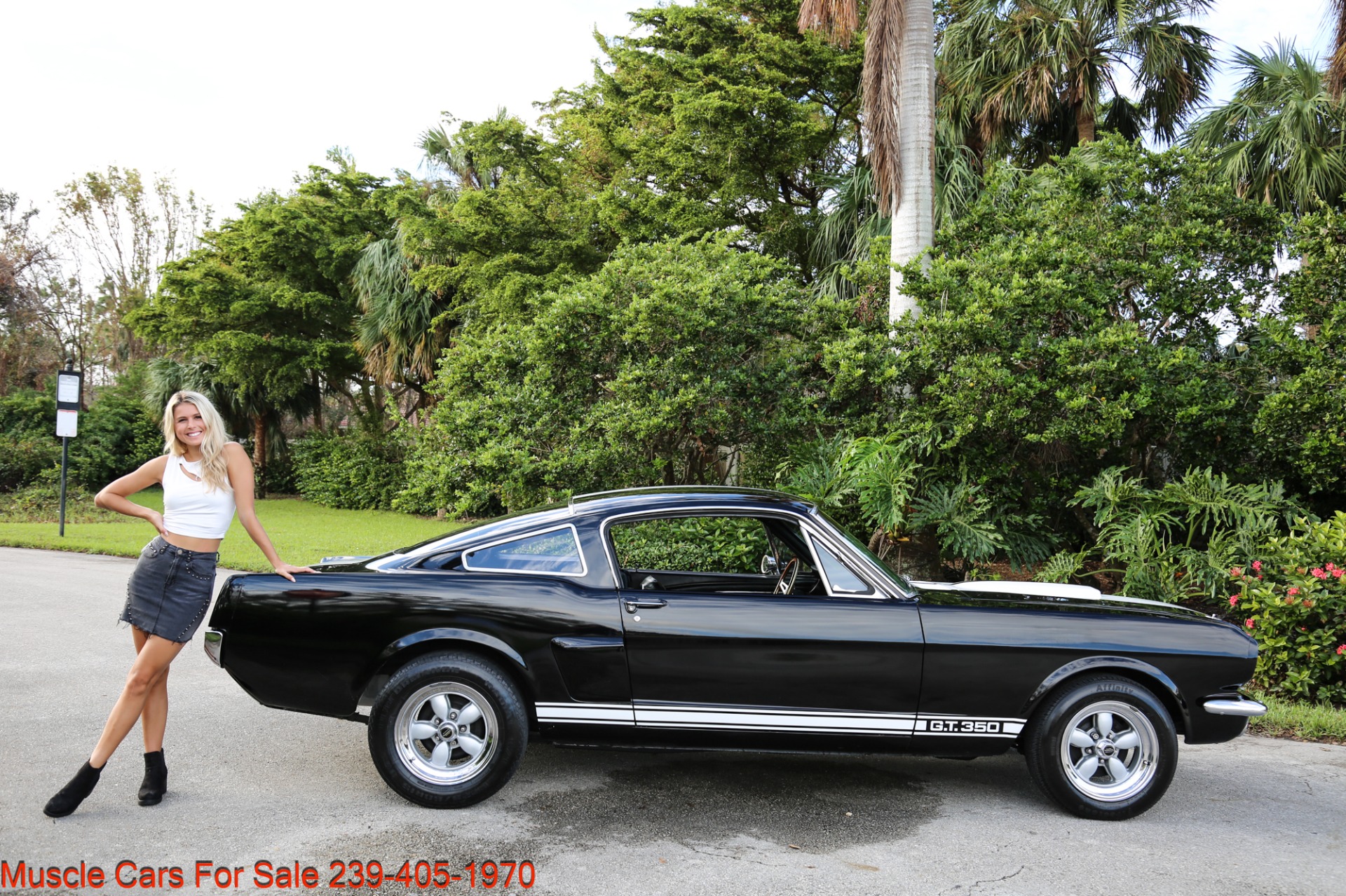 Used 1966 Ford Mustang Shelby 350 GT trimed for sale Sold at Muscle Cars for Sale Inc. in Fort Myers FL 33912 5