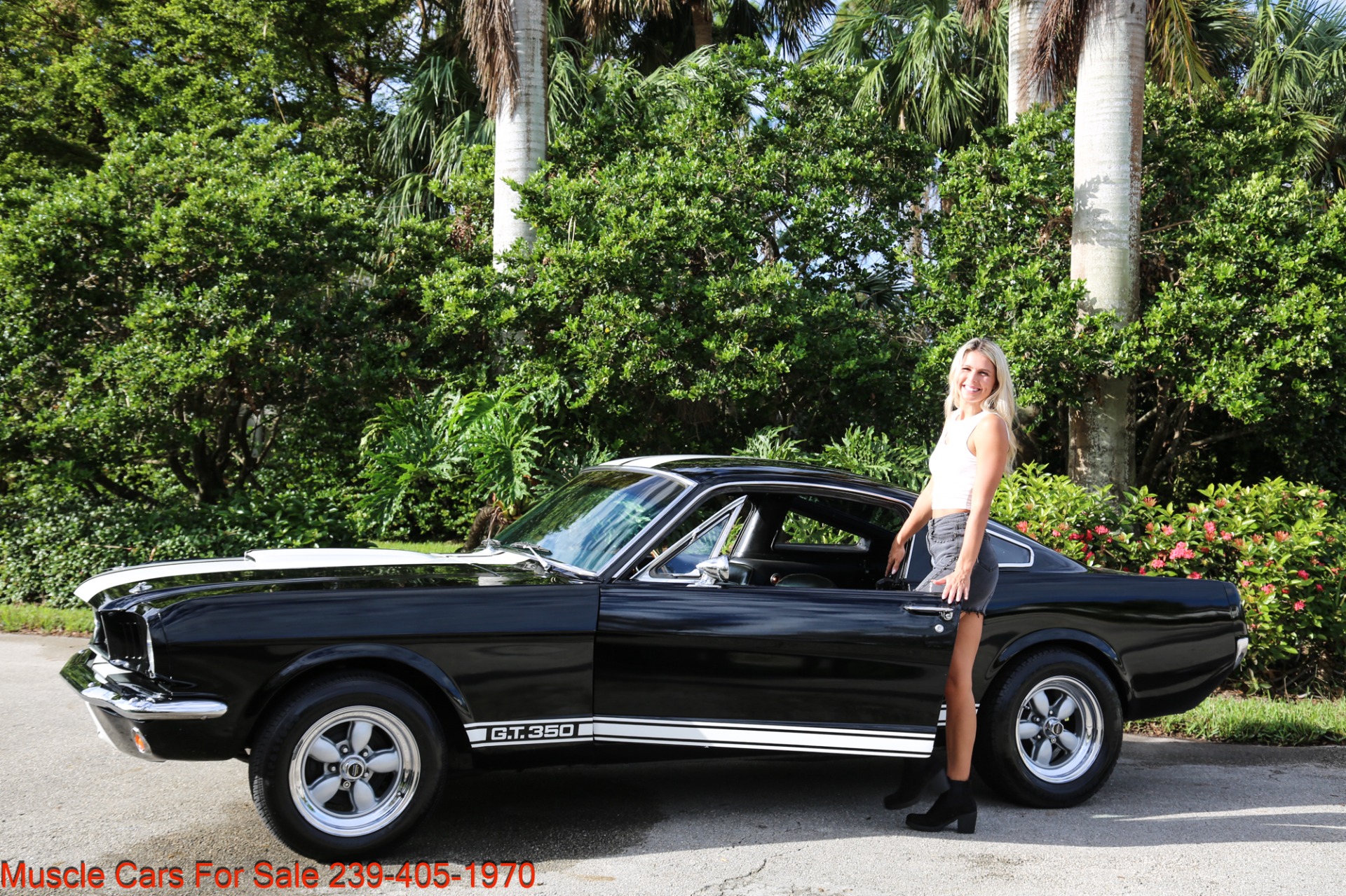 Used 1966 Ford Mustang Shelby 350 GT trimed for sale Sold at Muscle Cars for Sale Inc. in Fort Myers FL 33912 6