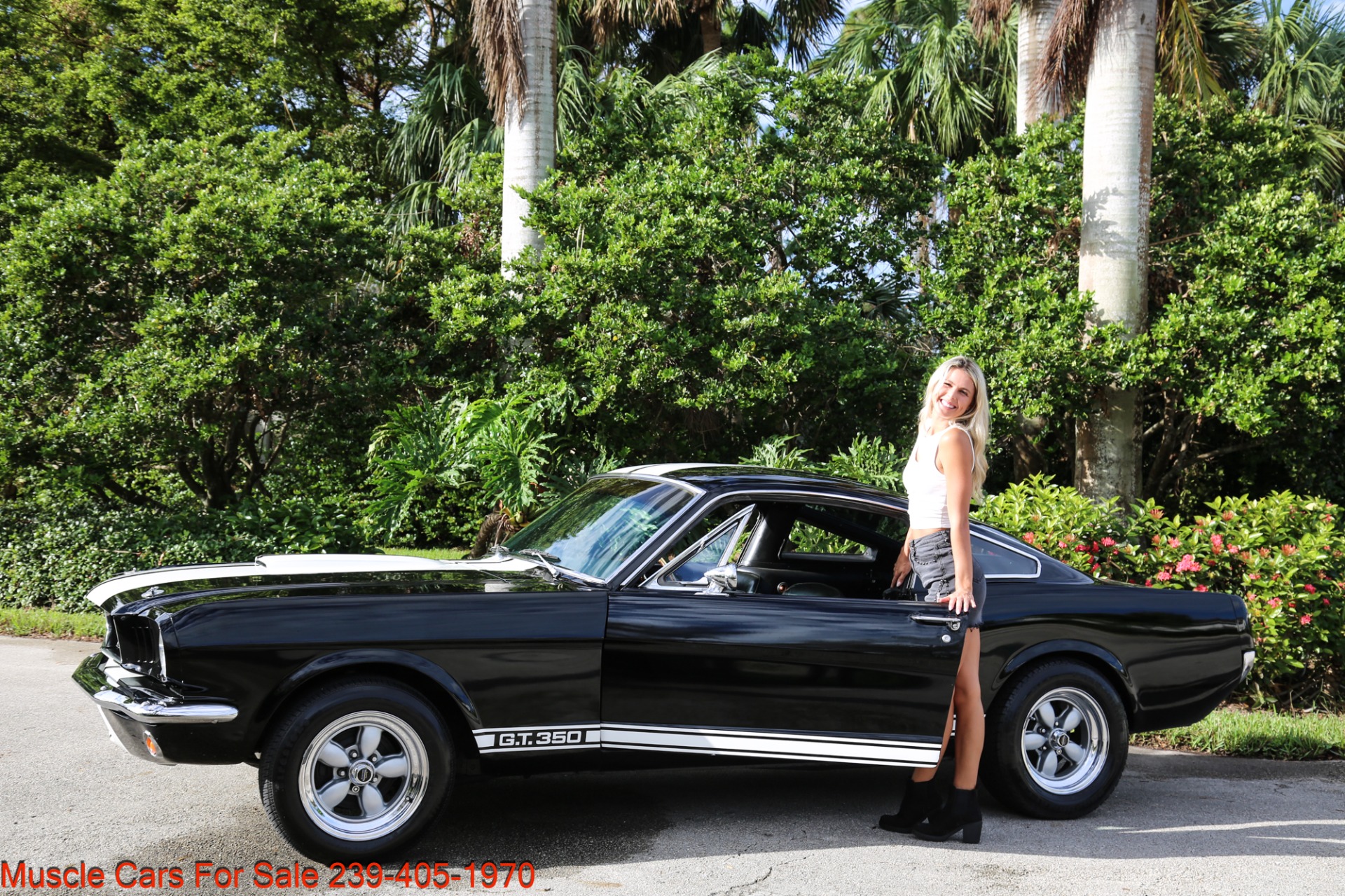 Used 1966 Ford Mustang Shelby 350 GT trimed for sale Sold at Muscle Cars for Sale Inc. in Fort Myers FL 33912 8