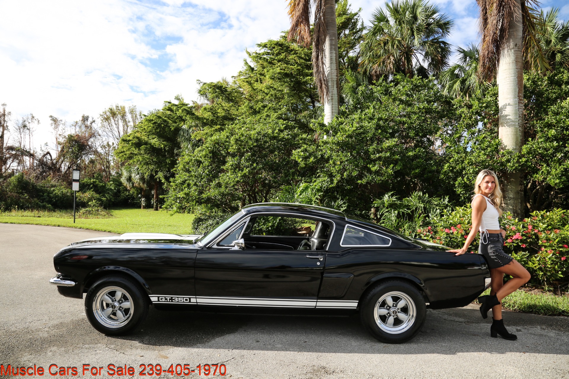 Used 1966 Ford Mustang Shelby 350 GT trimed for sale Sold at Muscle Cars for Sale Inc. in Fort Myers FL 33912 1