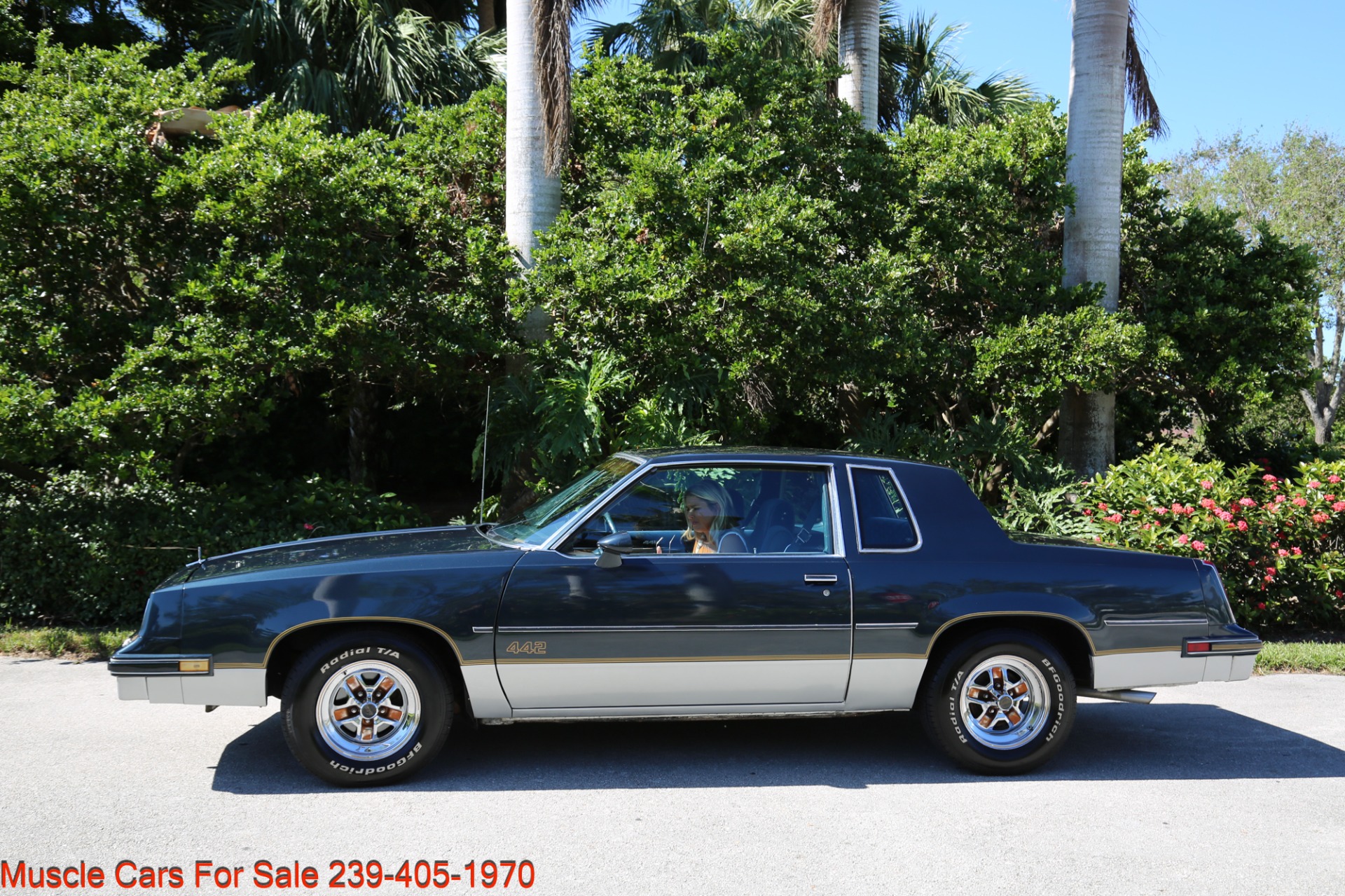 Used 1986 Oldsmobile Cutlass 442 442 for sale Sold at Muscle Cars for Sale Inc. in Fort Myers FL 33912 3
