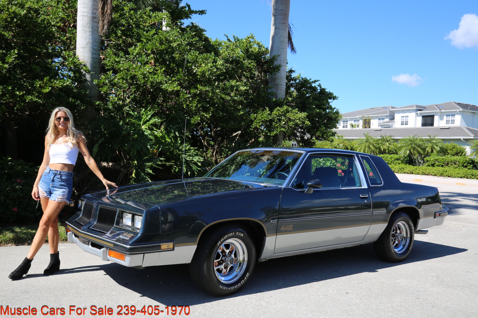 Used 1986 Oldsmobile Cutlass 442 442 for sale Sold at Muscle Cars for Sale Inc. in Fort Myers FL 33912 4