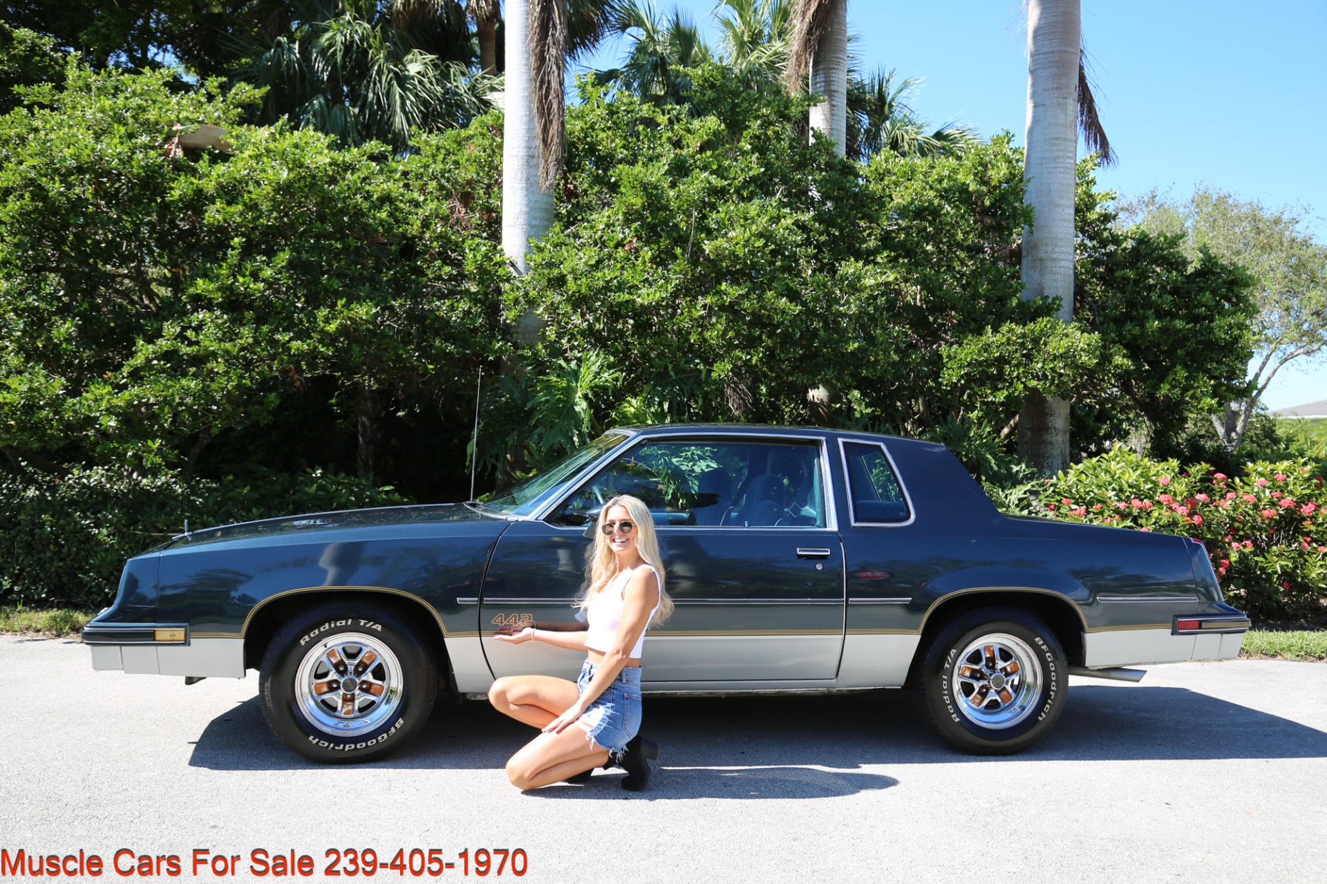 Used 1986 Oldsmobile Cutlass 442 442 for sale $21,000 at Muscle Cars for Sale Inc. in Fort Myers FL 33912 5