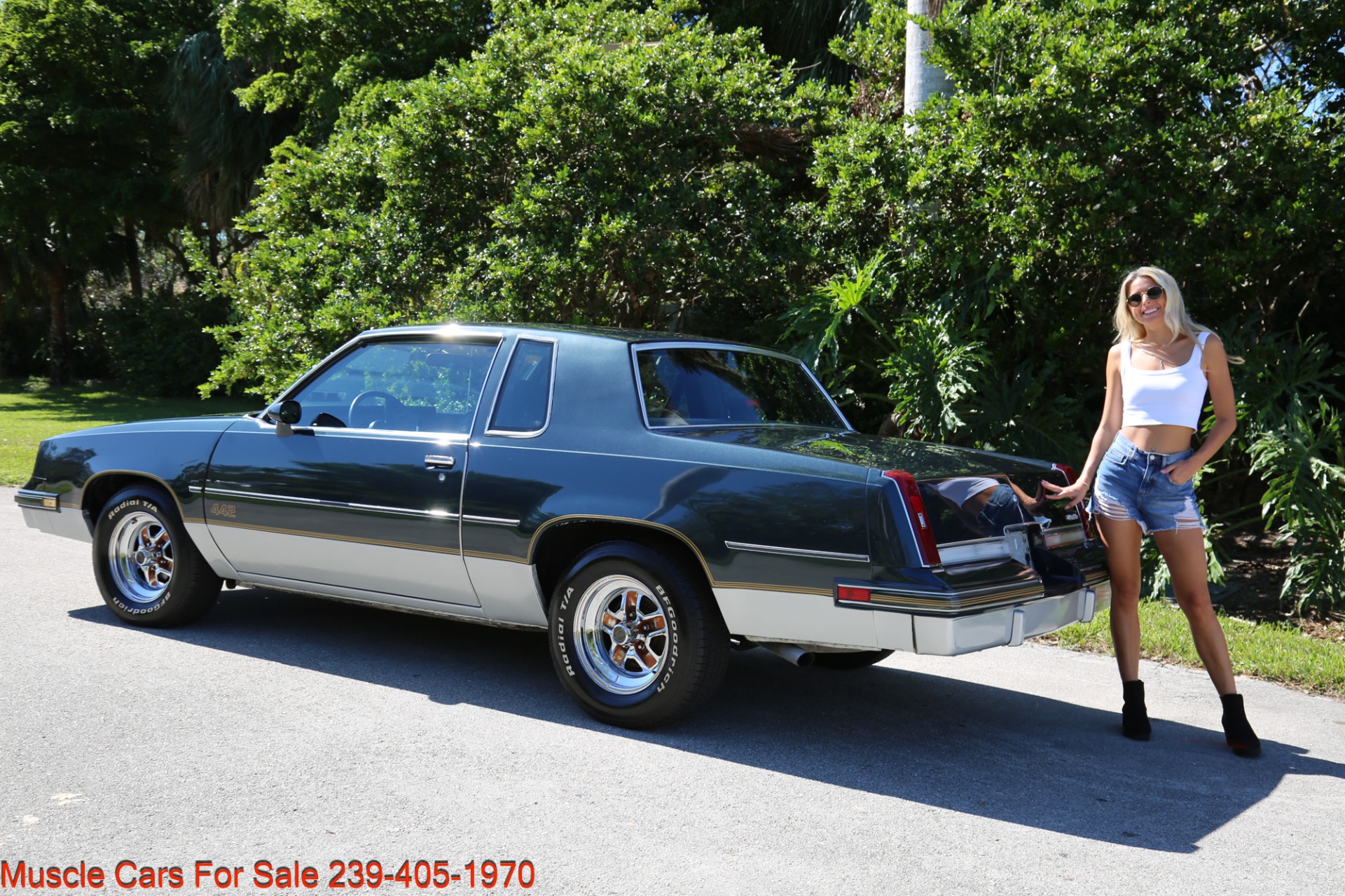 Used 1986 Oldsmobile Cutlass 442 442 for sale Sold at Muscle Cars for Sale Inc. in Fort Myers FL 33912 6