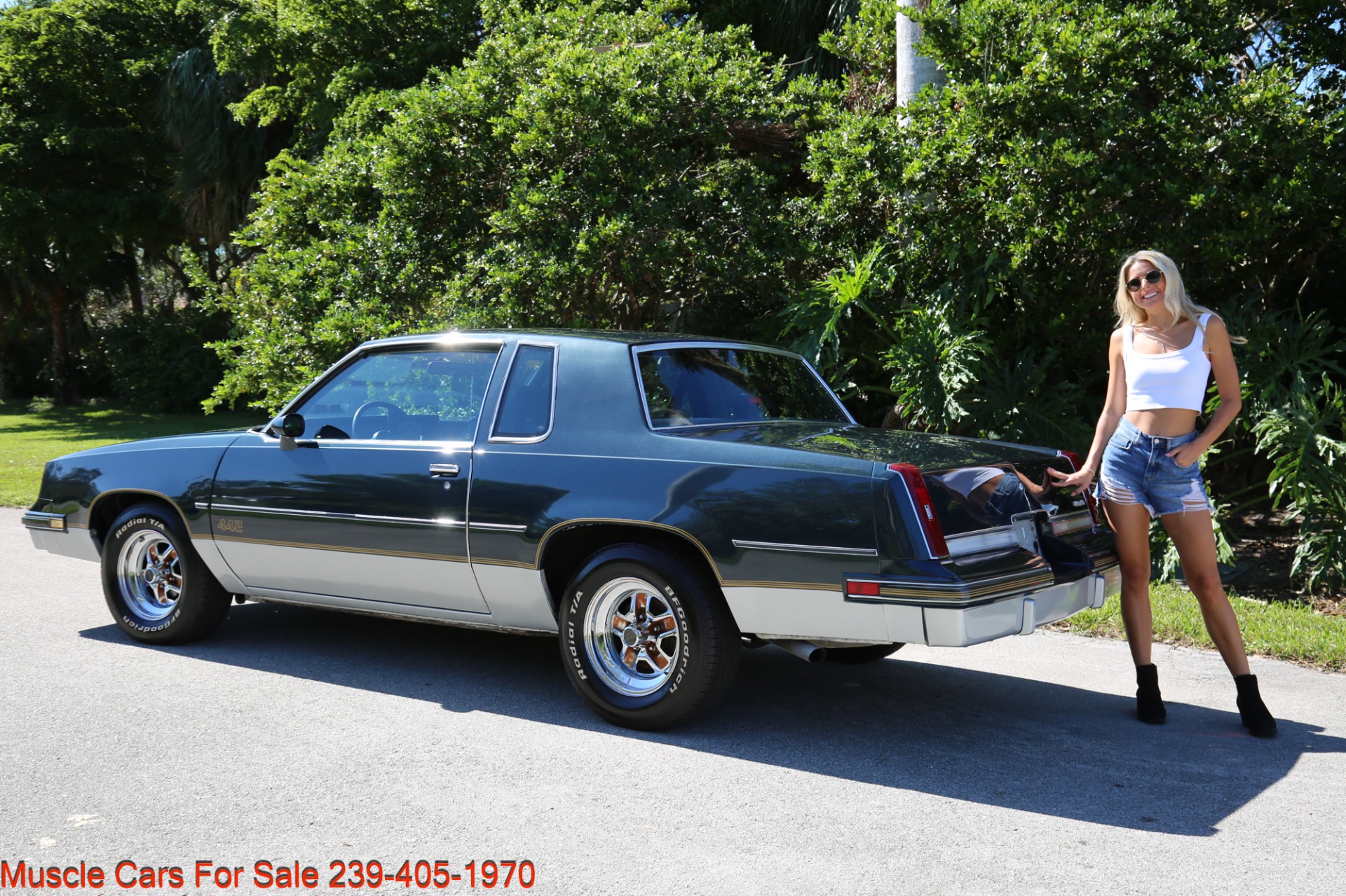 Used 1986 Oldsmobile Cutlass 442 442 for sale Sold at Muscle Cars for Sale Inc. in Fort Myers FL 33912 7