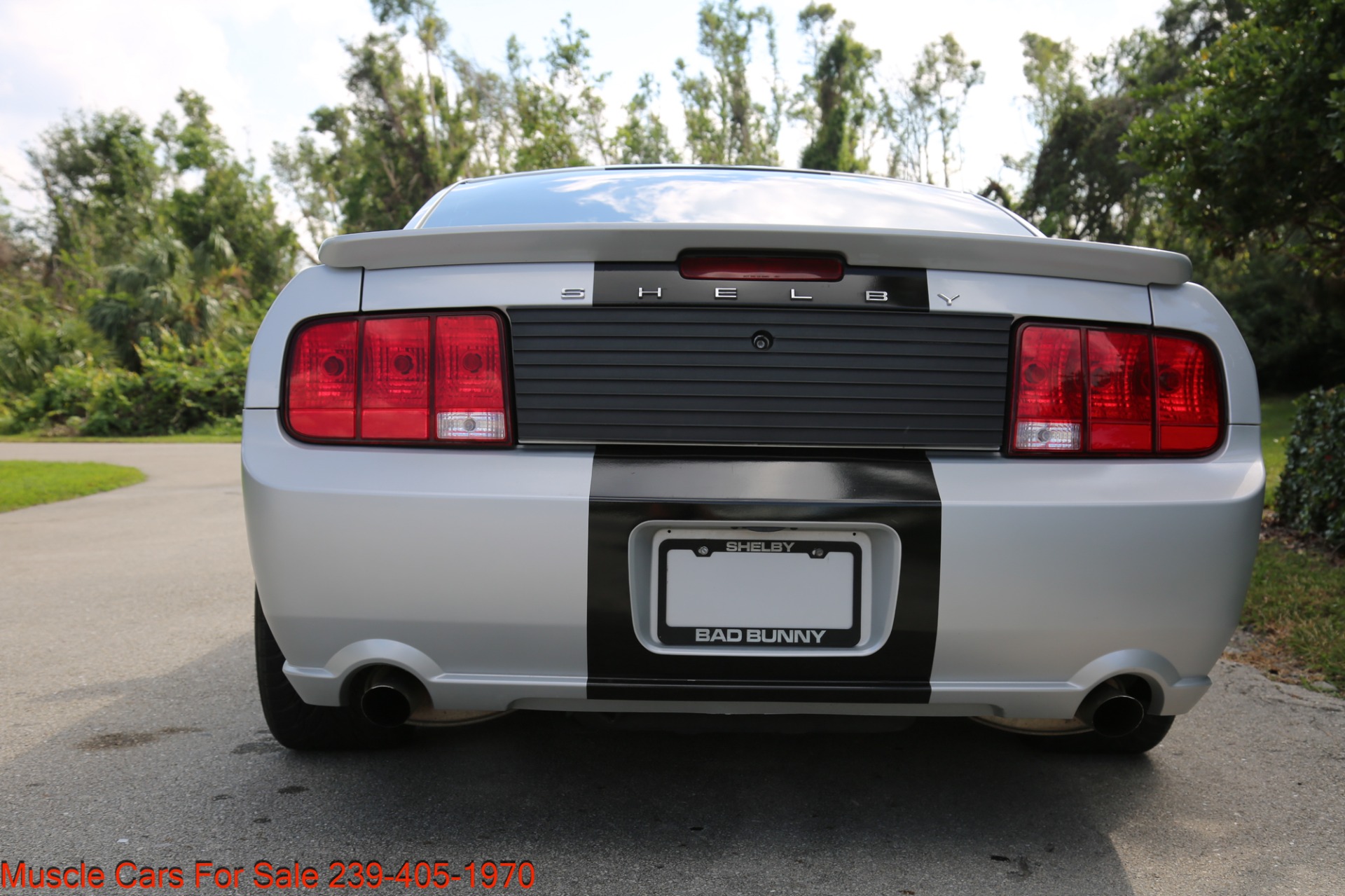 Used 2007 Ford Mustang GT Premium for sale Sold at Muscle Cars for Sale Inc. in Fort Myers FL 33912 6