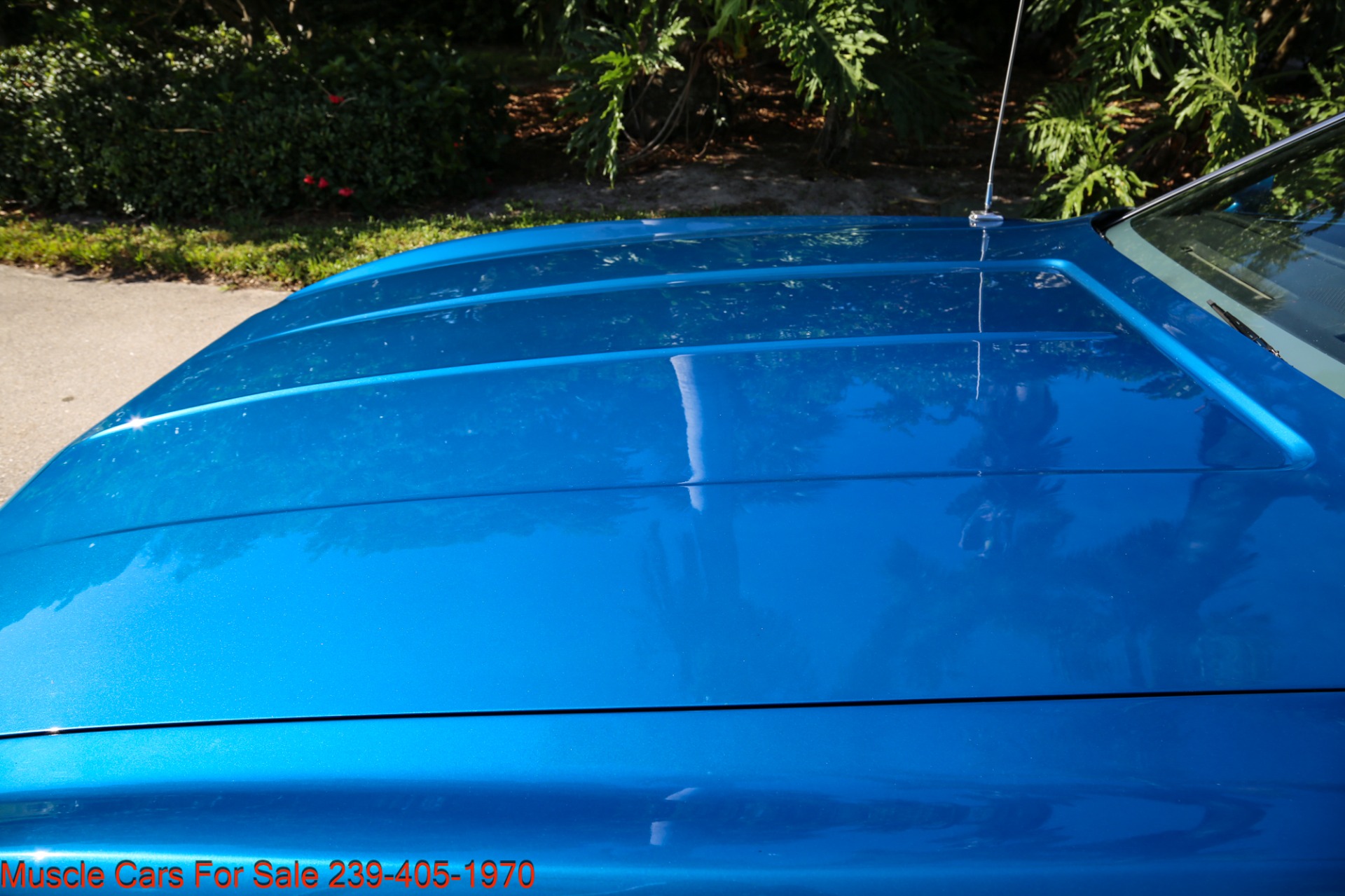 Used 1973 Ford Mustang V8 Auto for sale $29,500 at Muscle Cars for Sale Inc. in Fort Myers FL 33912 8
