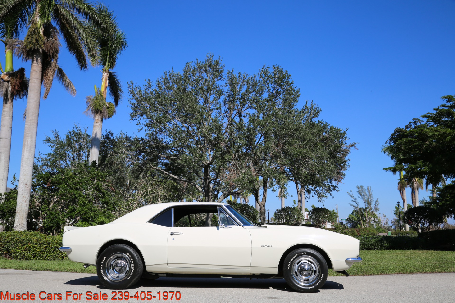 Used 1967 Chevrolet Camaro V8 Manual 12 bolt Rear for sale Sold at Muscle Cars for Sale Inc. in Fort Myers FL 33912 7