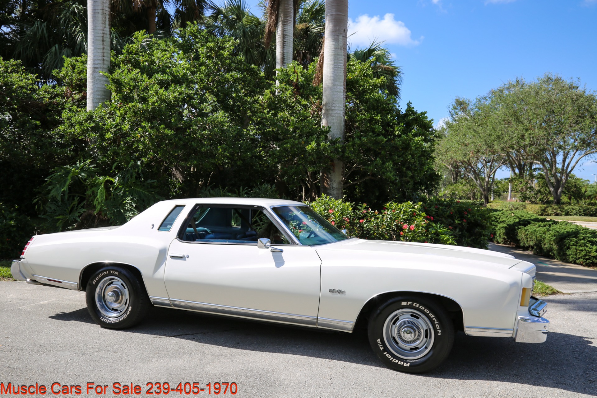 Used 1975 Chevrolet Monte Carlo V8 Auto for sale Sold at Muscle Cars for Sale Inc. in Fort Myers FL 33912 2