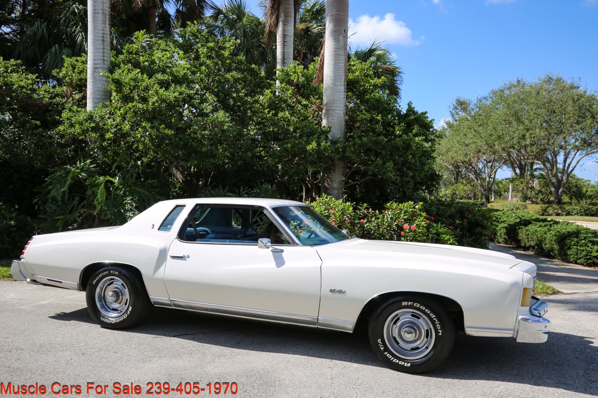 Used 1975 Chevrolet Monte Carlo V8 Auto for sale Sold at Muscle Cars for Sale Inc. in Fort Myers FL 33912 2