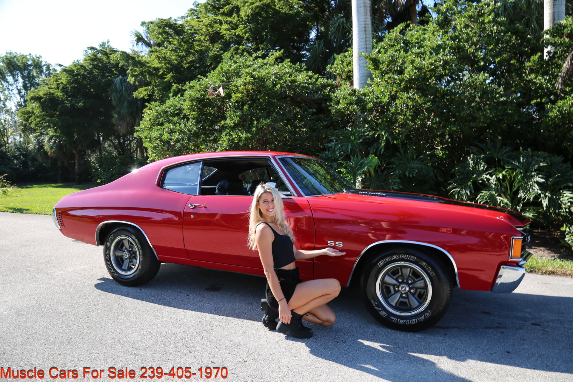 Used 1972 Chevrolet Chevelle SS Super Sport with Build Sheet for sale Sold at Muscle Cars for Sale Inc. in Fort Myers FL 33912 2