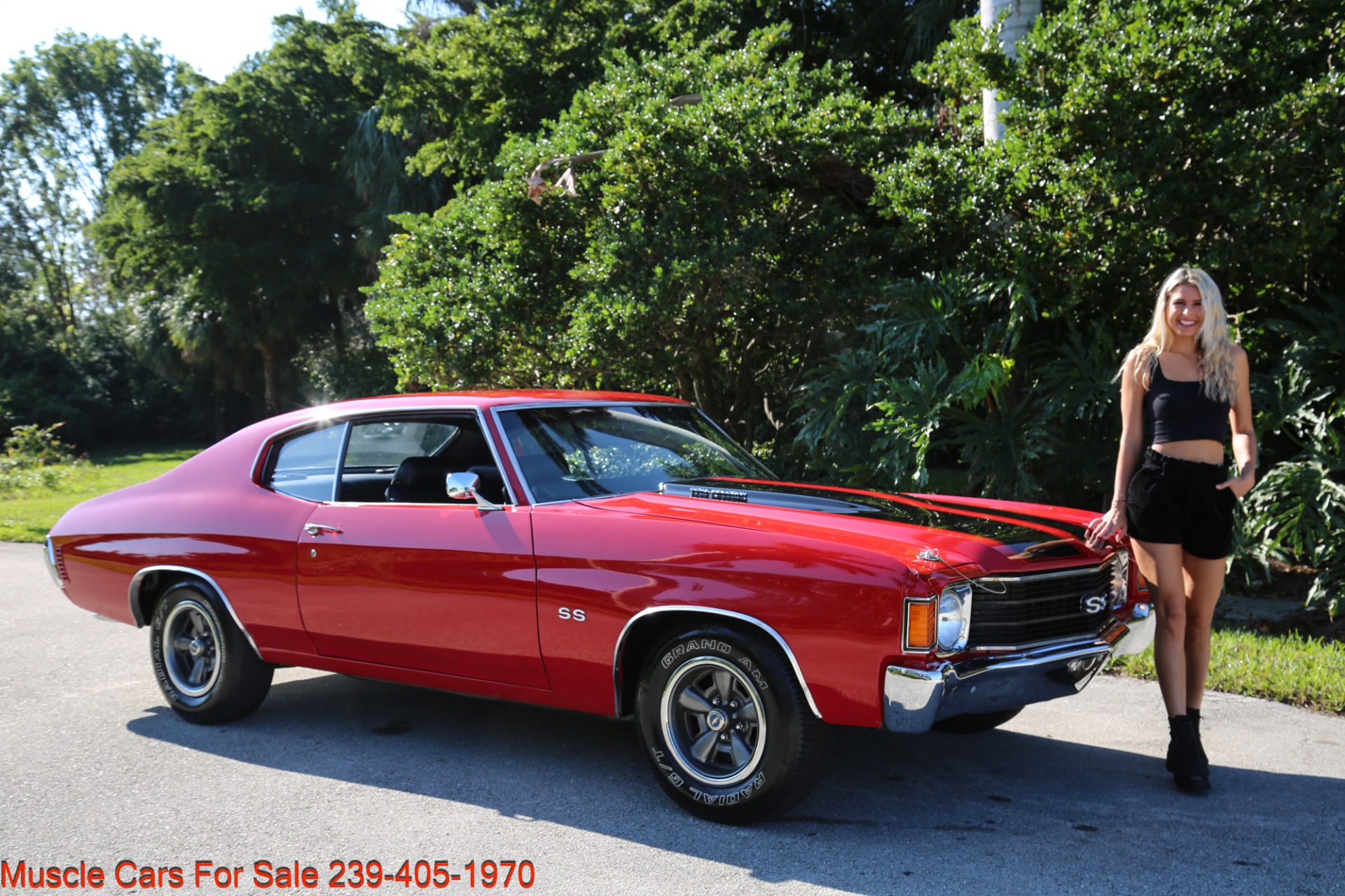 Used 1972 Chevrolet Chevelle SS Super Sport  with Build Sheet for sale Sold at Muscle Cars for Sale Inc. in Fort Myers FL 33912 3