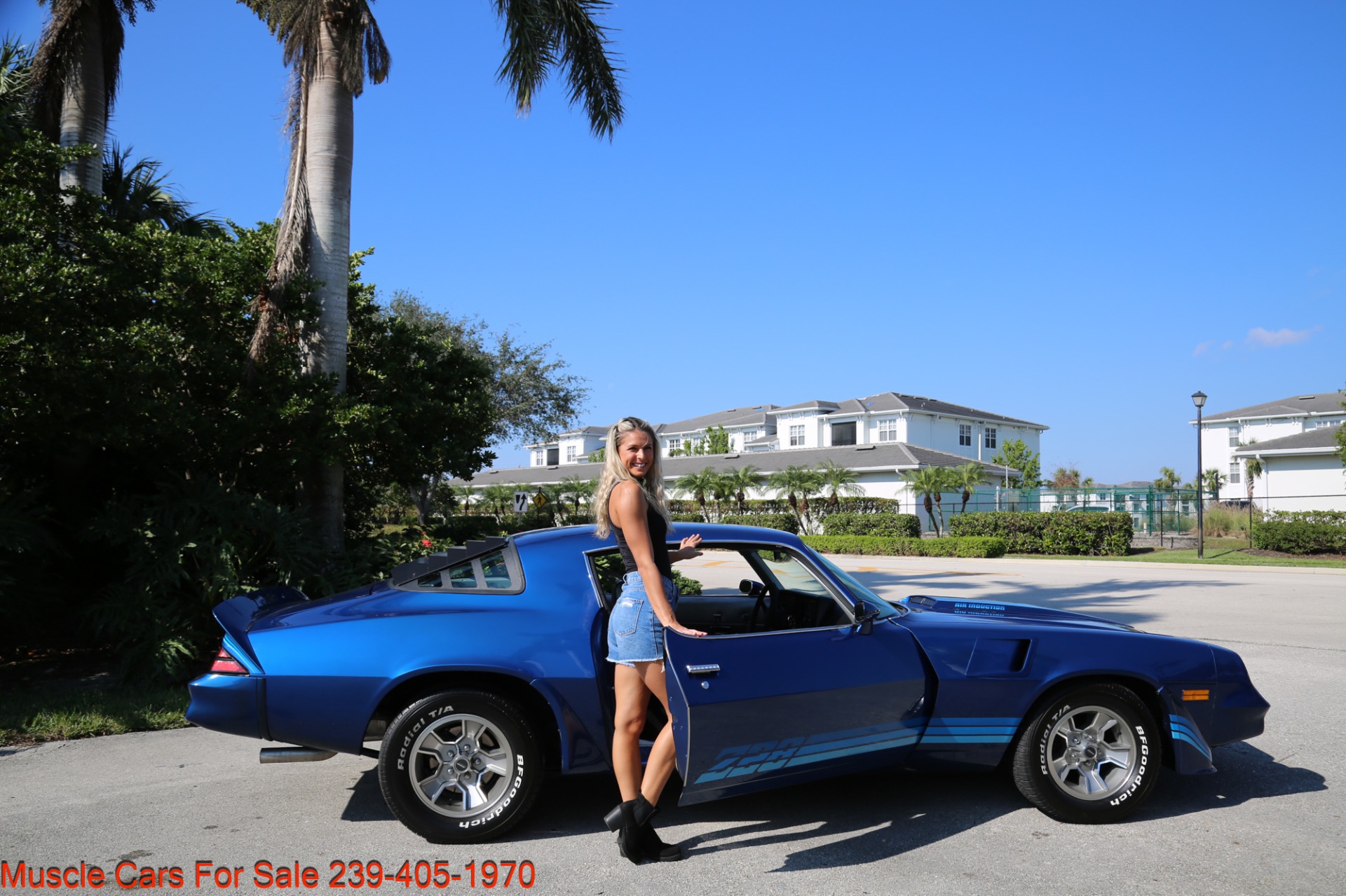 Used 1981 Chevrolet Camaro Z28 for sale Sold at Muscle Cars for Sale Inc. in Fort Myers FL 33912 7