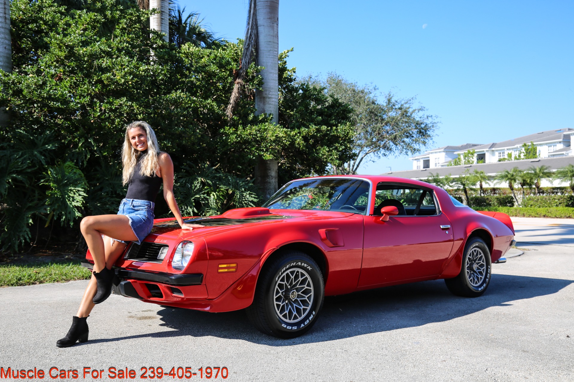 Used 1975 Pontiac TRANS AM V8 Auto for sale Sold at Muscle Cars for Sale Inc. in Fort Myers FL 33912 2