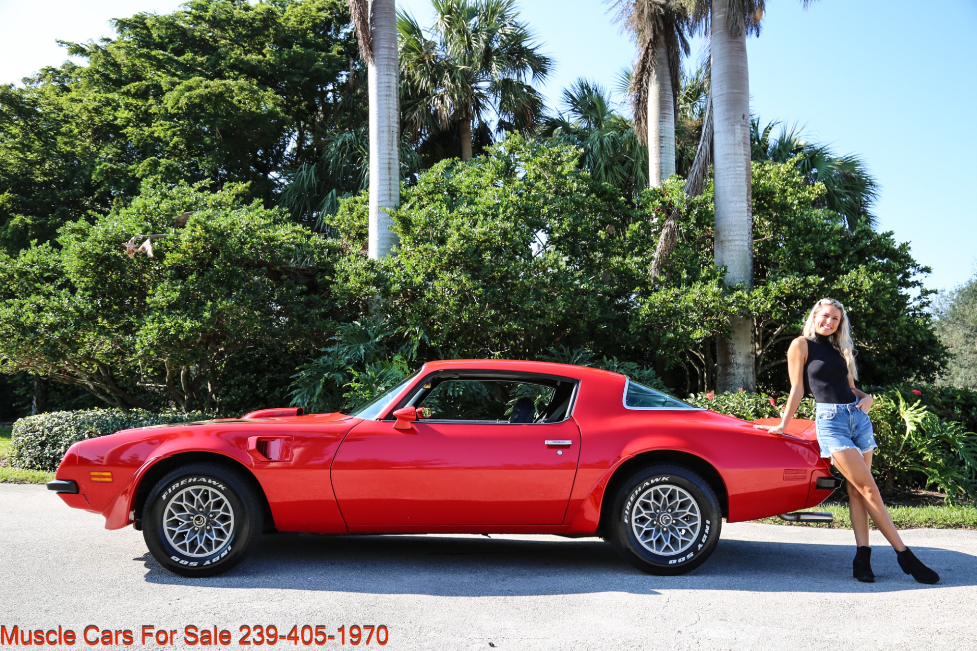 Used 1975 Pontiac TRANS AM V8 Auto for sale Sold at Muscle Cars for Sale Inc. in Fort Myers FL 33912 3