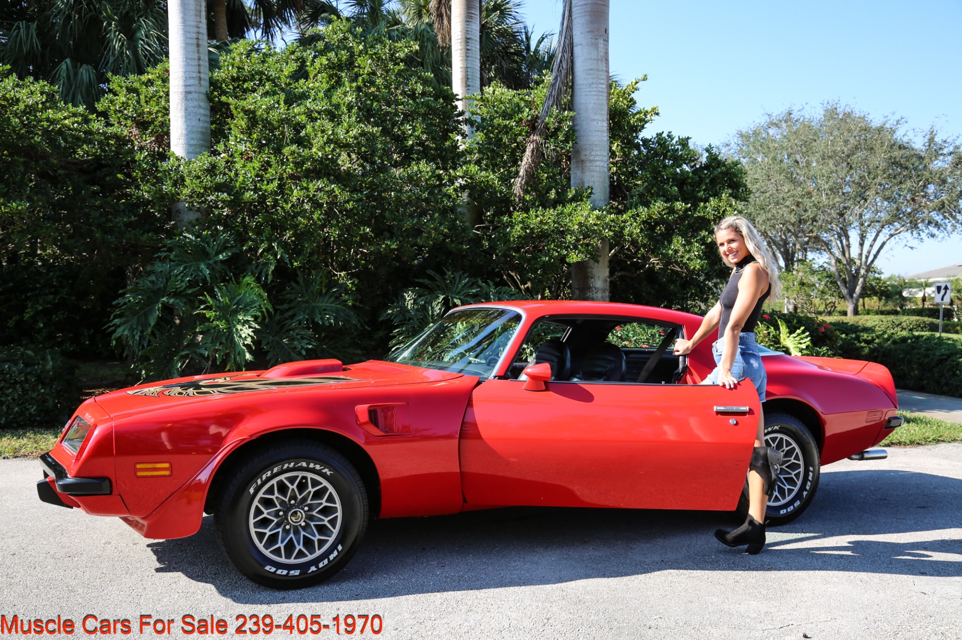 Used 1975 Pontiac TRANS AM V8 Auto for sale Sold at Muscle Cars for Sale Inc. in Fort Myers FL 33912 5