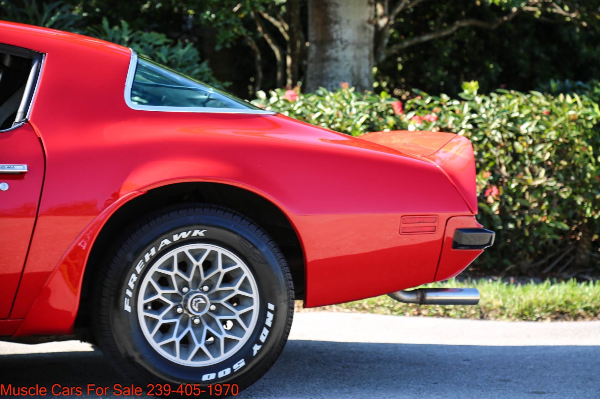 Used 1975 Pontiac TRANS AM V8 Auto for sale Sold at Muscle Cars for Sale Inc. in Fort Myers FL 33912 6