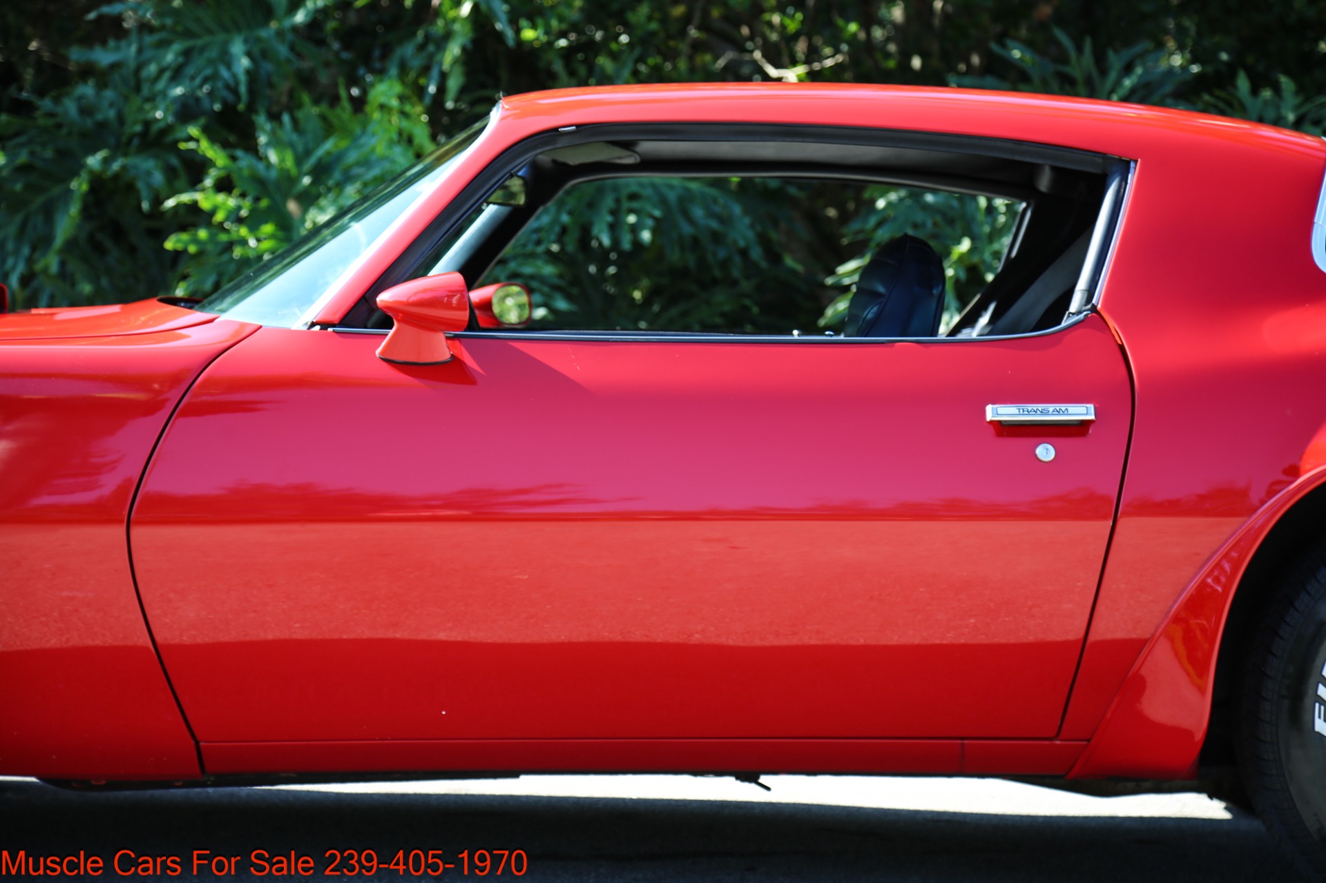 Used 1975 Pontiac TRANS AM V8 Auto for sale Sold at Muscle Cars for Sale Inc. in Fort Myers FL 33912 7