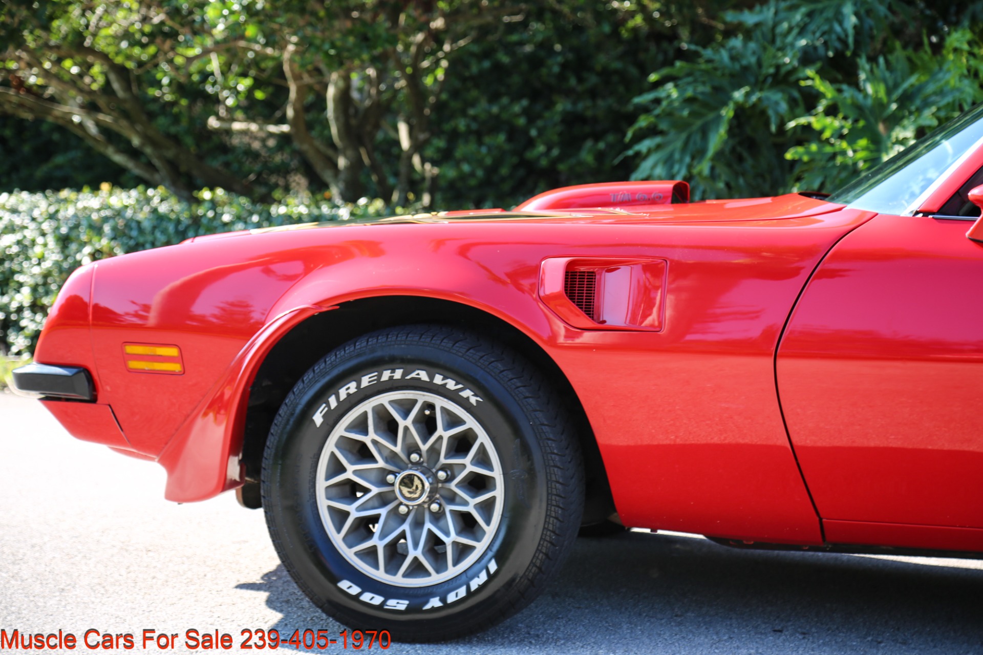 Used 1975 Pontiac TRANS AM V8 Auto for sale Sold at Muscle Cars for Sale Inc. in Fort Myers FL 33912 8