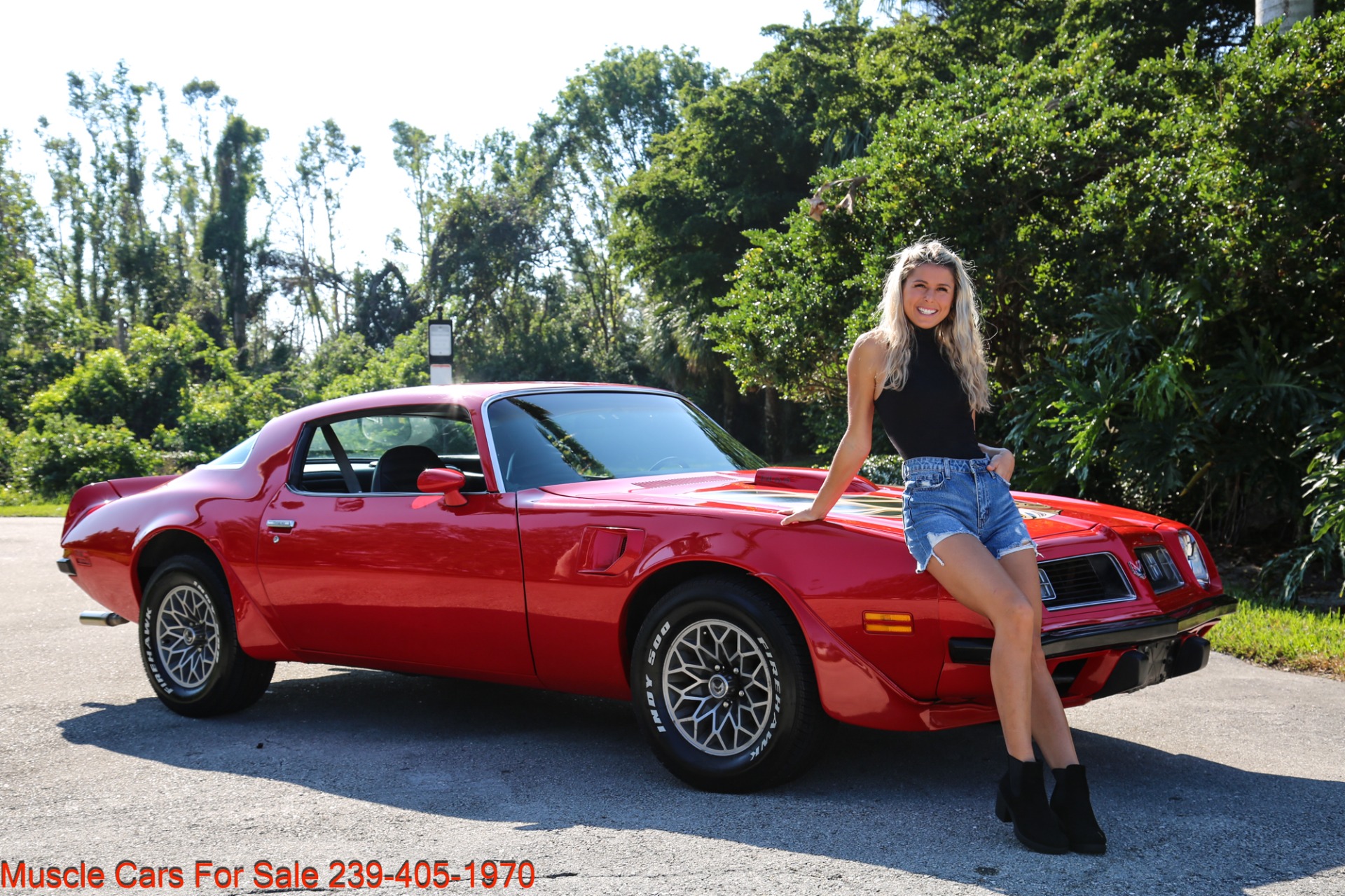 Used 1975 Pontiac TRANS AM V8 Auto for sale Sold at Muscle Cars for Sale Inc. in Fort Myers FL 33912 1