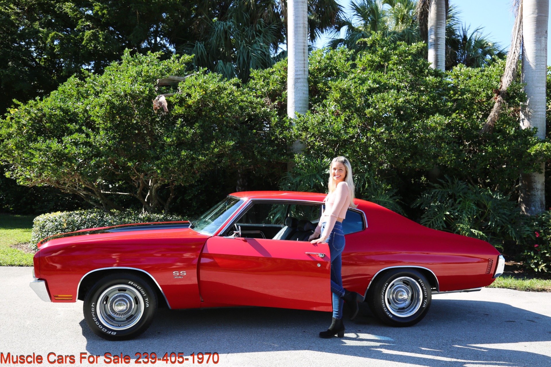 Used 1970 Chevrolet Chevelle SS Super Sport 396 for sale Sold at Muscle Cars for Sale Inc. in Fort Myers FL 33912 4