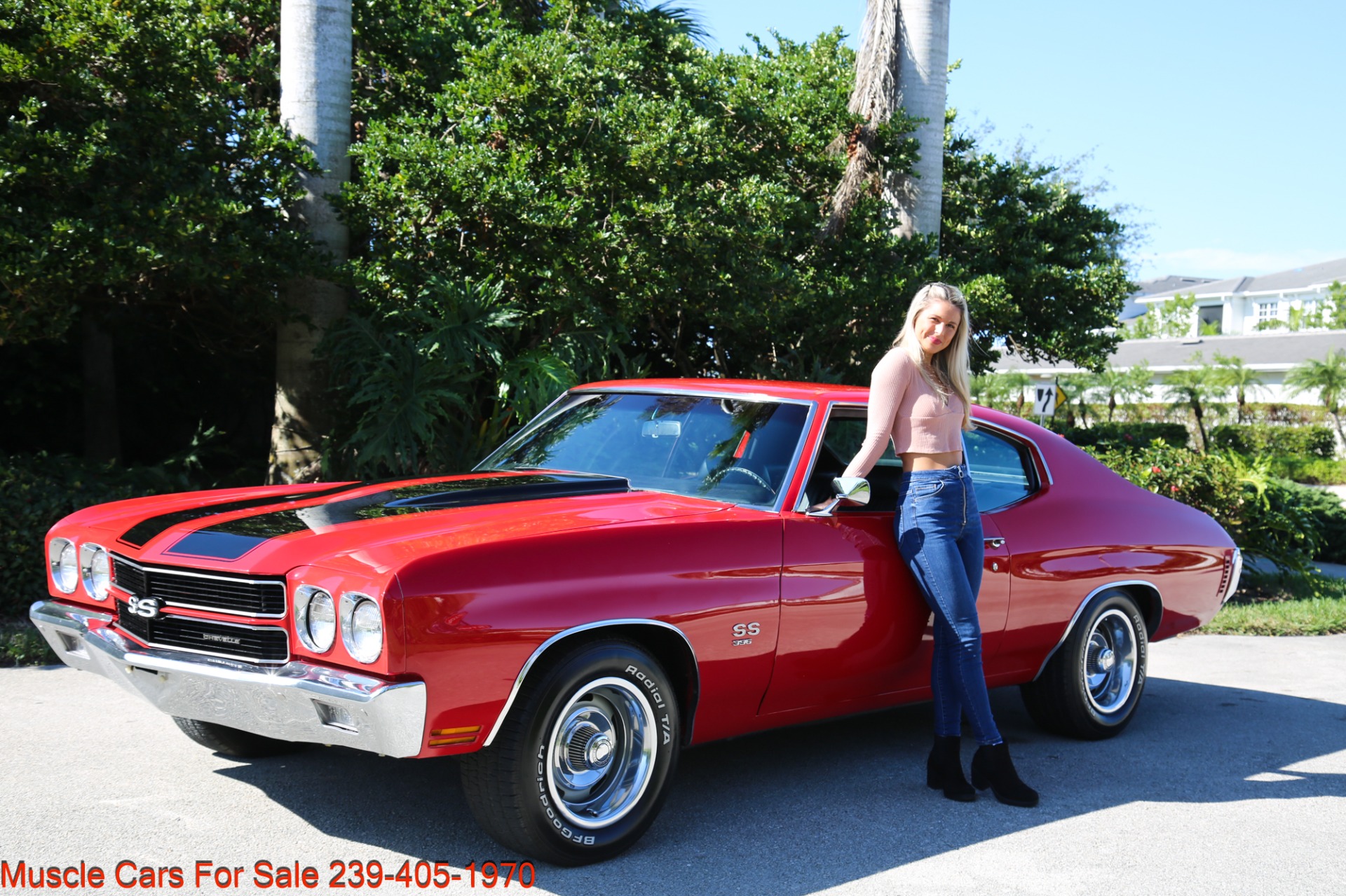 Used 1970 Chevrolet Chevelle SS Super Sport 396 for sale Sold at Muscle Cars for Sale Inc. in Fort Myers FL 33912 1